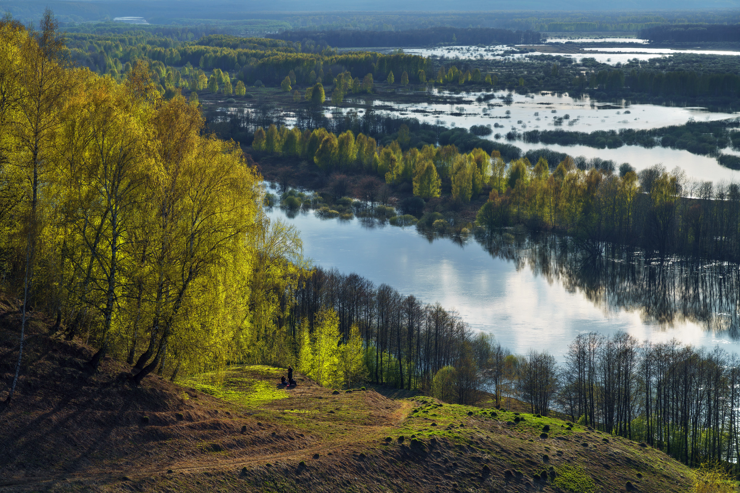 гороховец, лысая гора, клязьма, разлив, половодье, весна, Олег Зверев