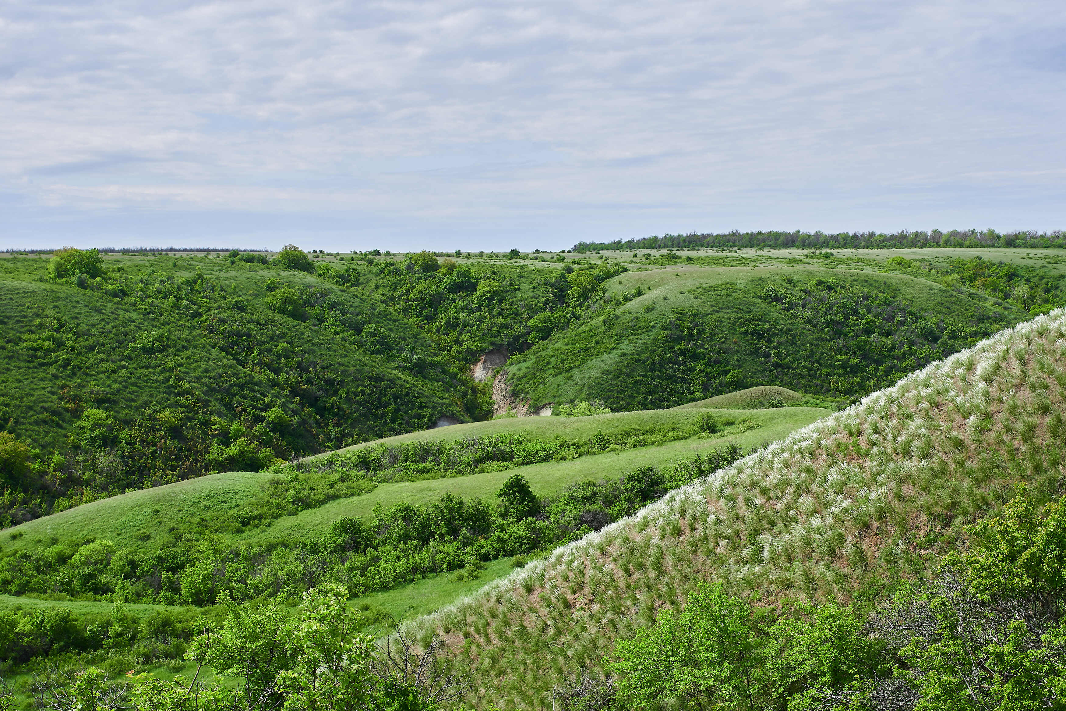 volgograd, russia, landscapes, , Павел Сторчилов