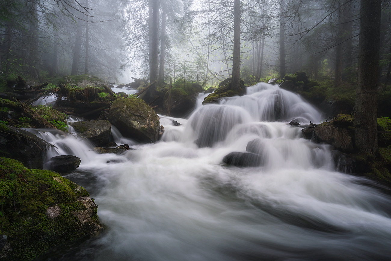 landscape, nature, scenery, forest, wood, mist, misty, fog, foggy, river, longexposure, mountain, rocks, rila, bulgaria, туман, лес, Александър Александров