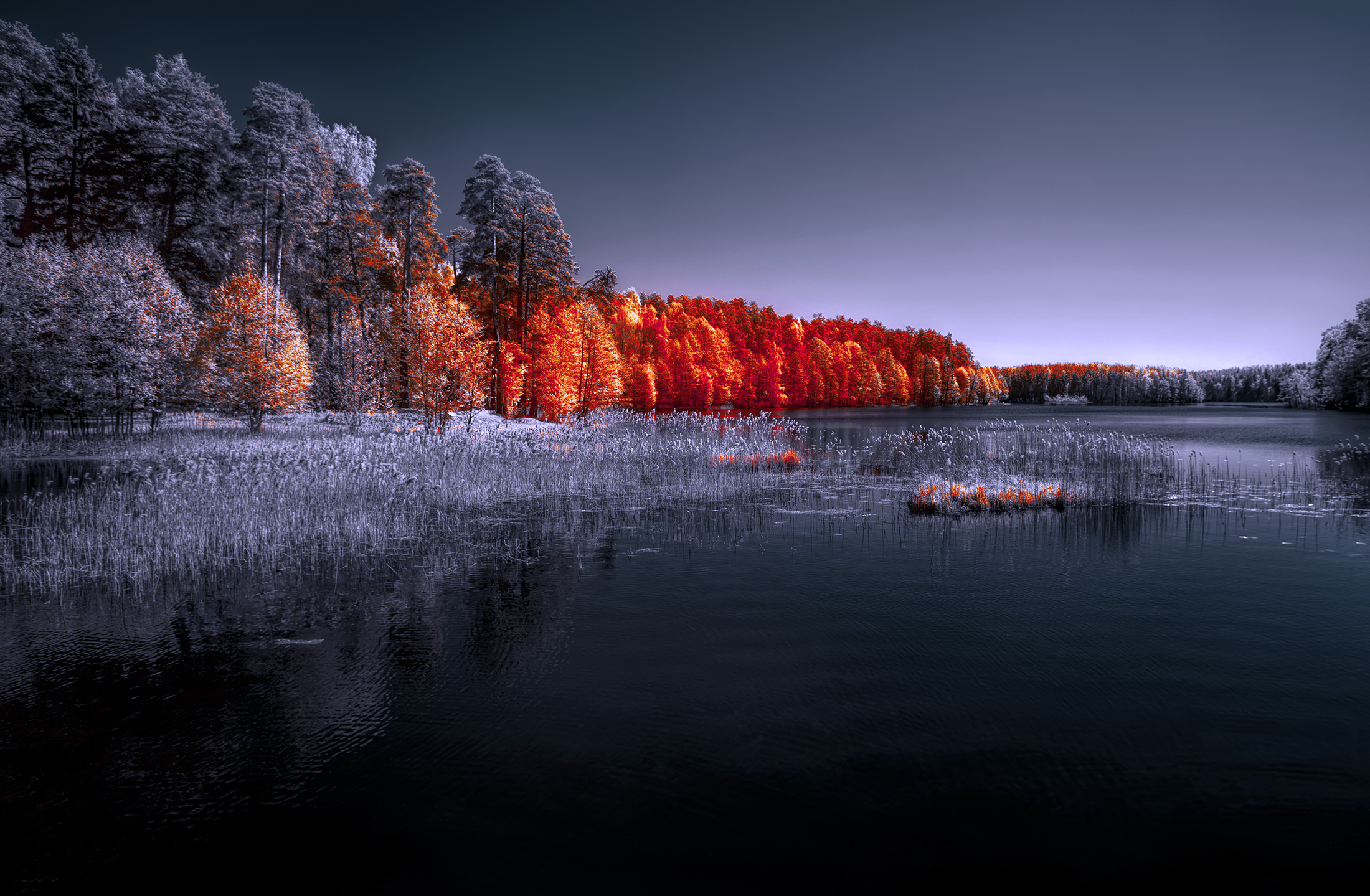 infrared,ик-фото,инфракрасное фото, инфракрасная фотография, пейзаж, вена,  Sixten (Сергей)