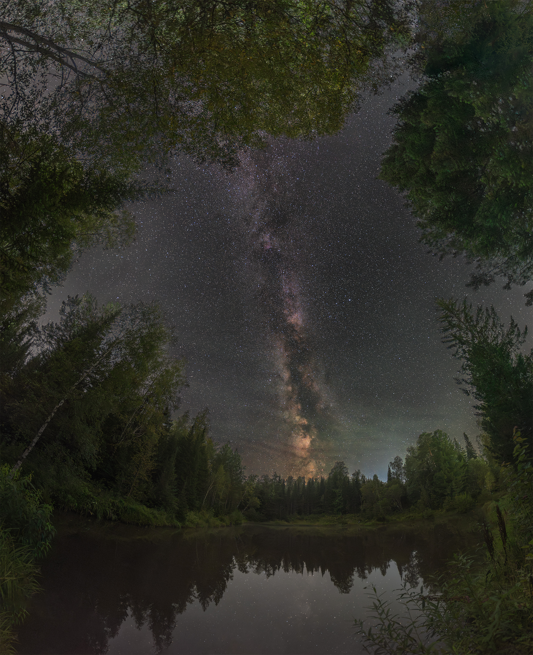 сибирь, тайга, млечный путь, астрофото, астрофотография, красноярский край, milky way, siberia, astrophotography, night, stars, Кудашкина Ксения