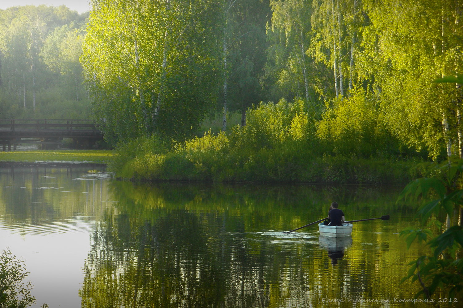 кострома, пейзаж, лето, лодка, вода, Елена Рубинская