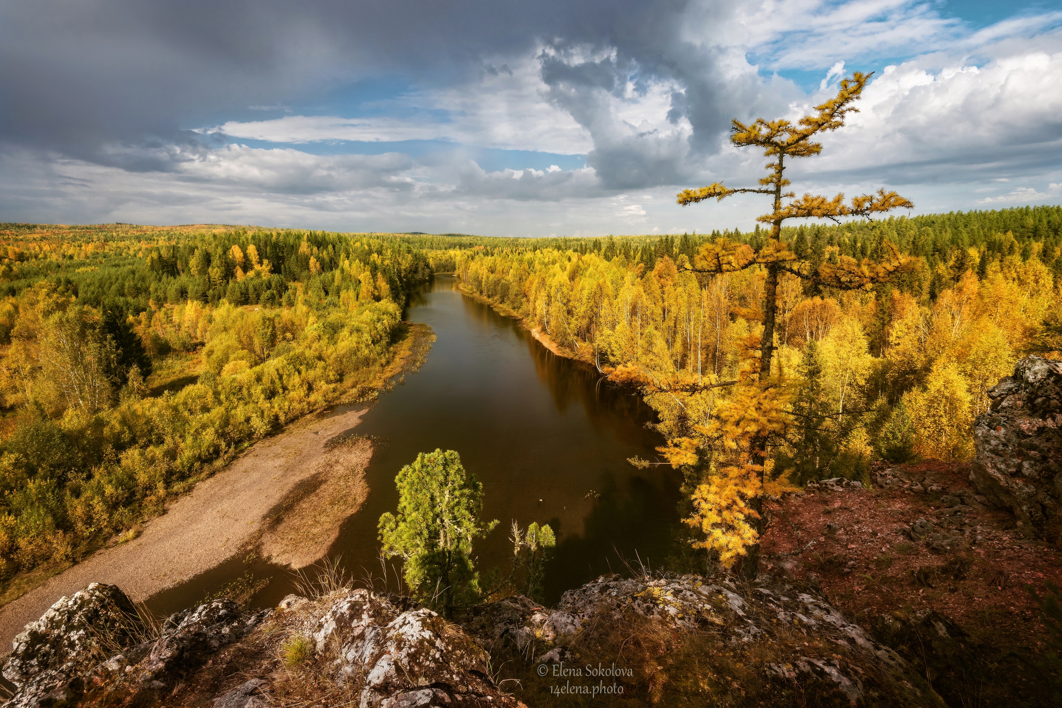 лозьва, река, осень, золотая, пейзаж, Соколова Елена