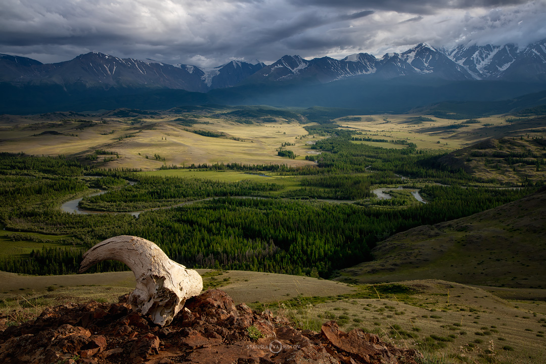 , Станислав Аристов