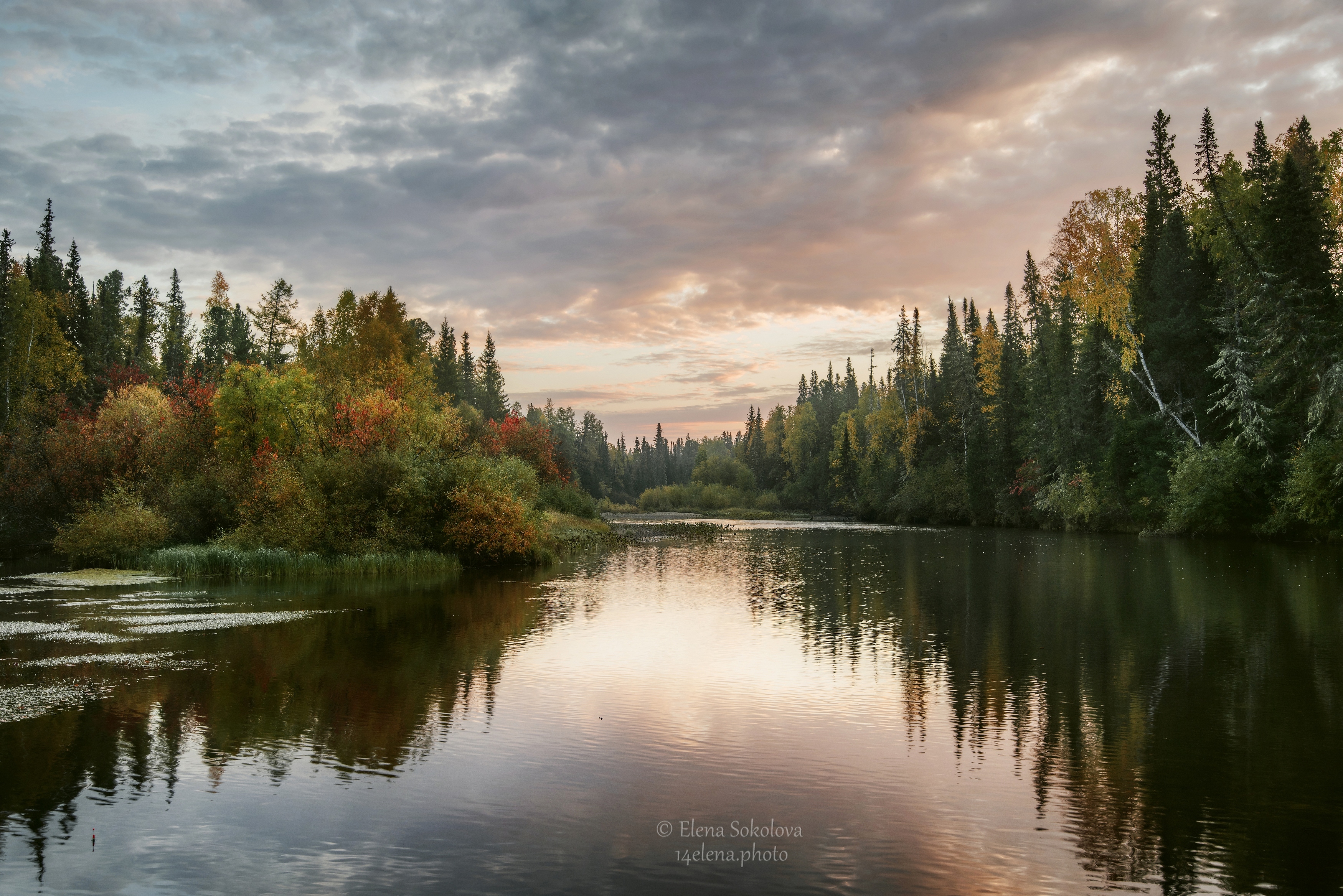 лозьва, утро, рассвет, река, Соколова Елена