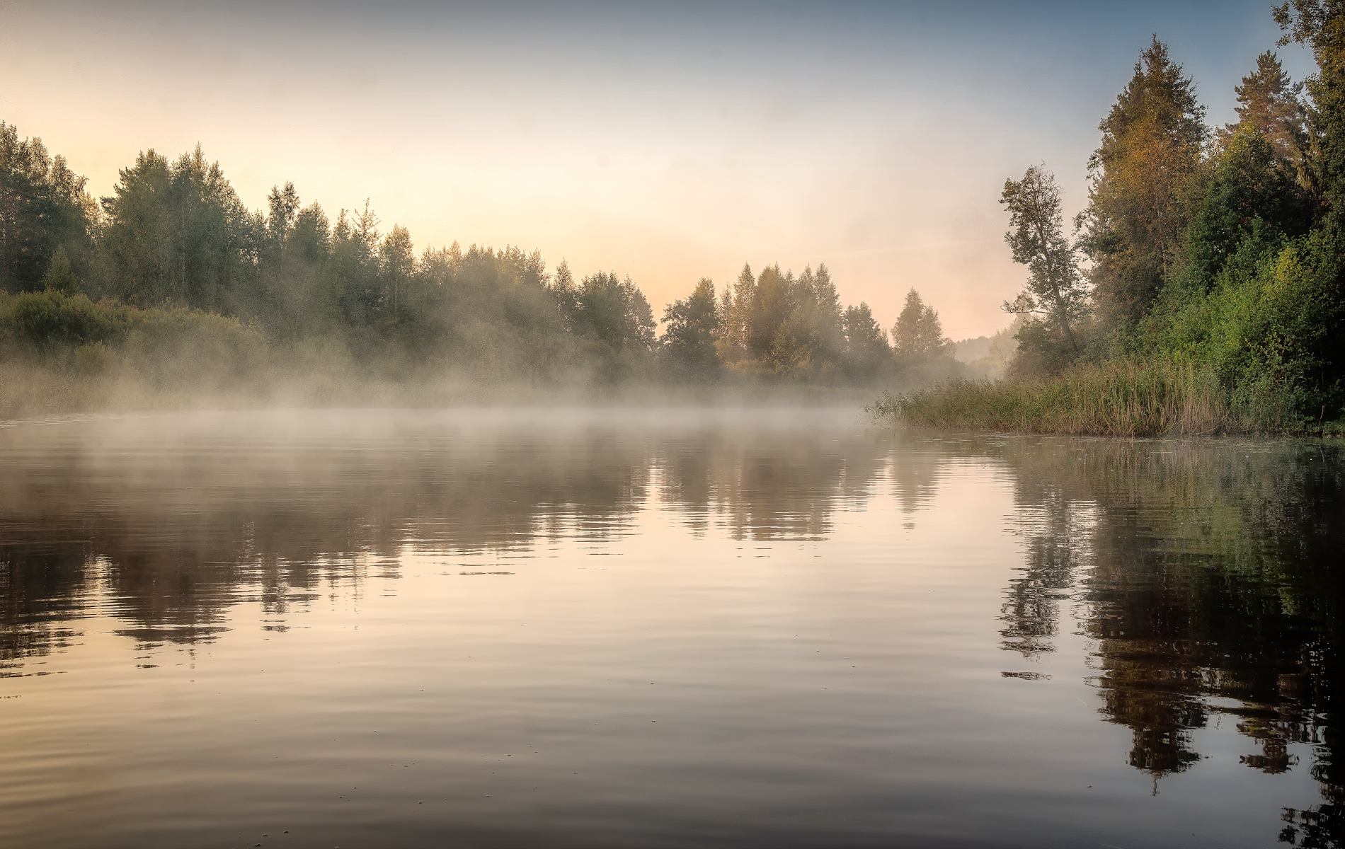 рассвет, утро, туман, река, лес, Сергей Аникин