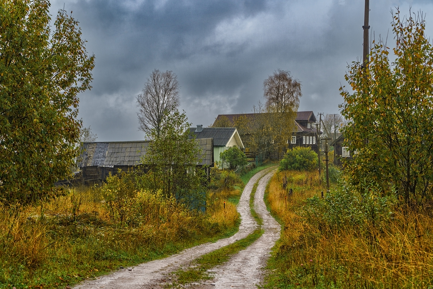 Россия, север, деревня, Лариса Дука