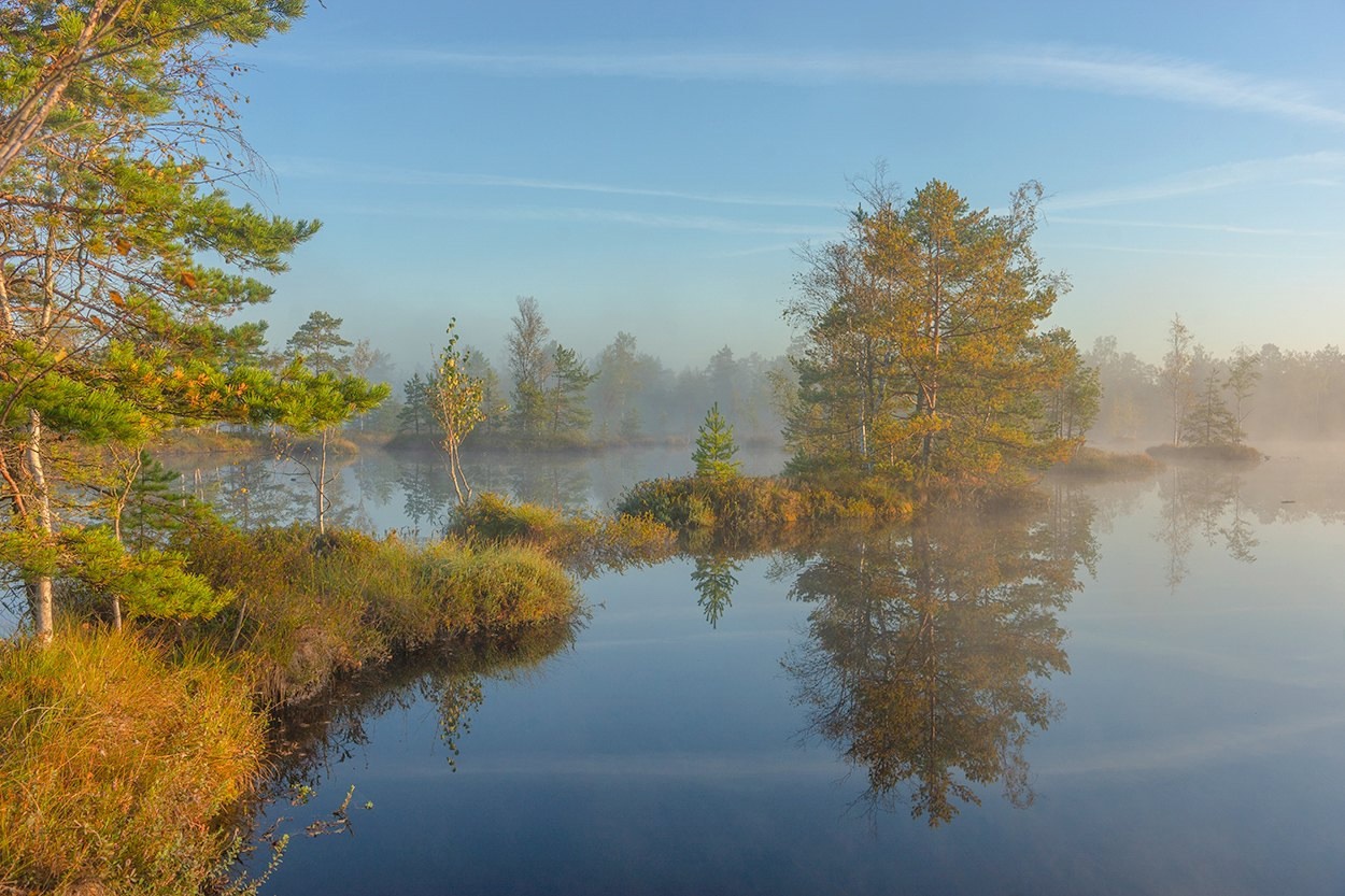 , Петр Косых