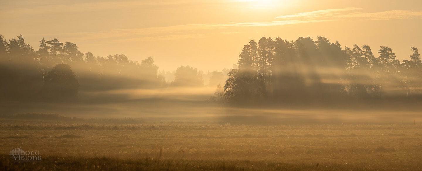 sunrise,fog,foggy,landscape,panorama,panoramic,woodland,forest,sunlight,, Photo Visions