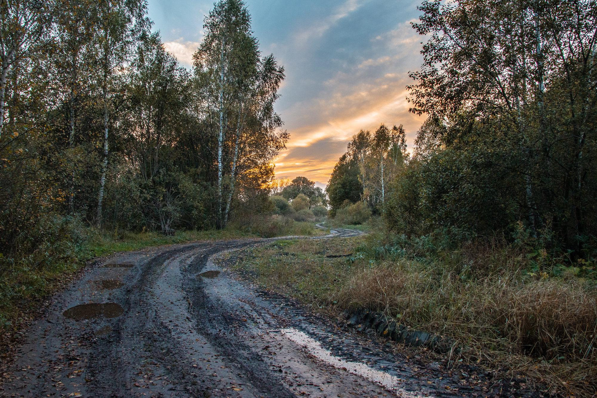 , Александр