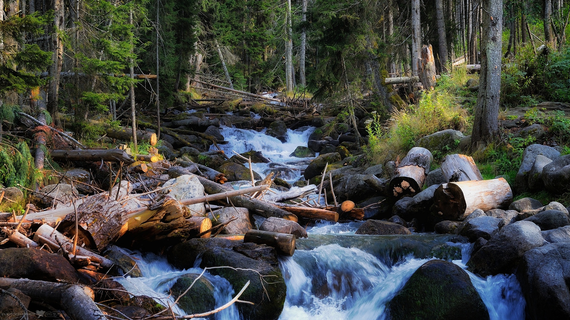 природа пейзаж лес река завал деревья камни вода, Serj Master