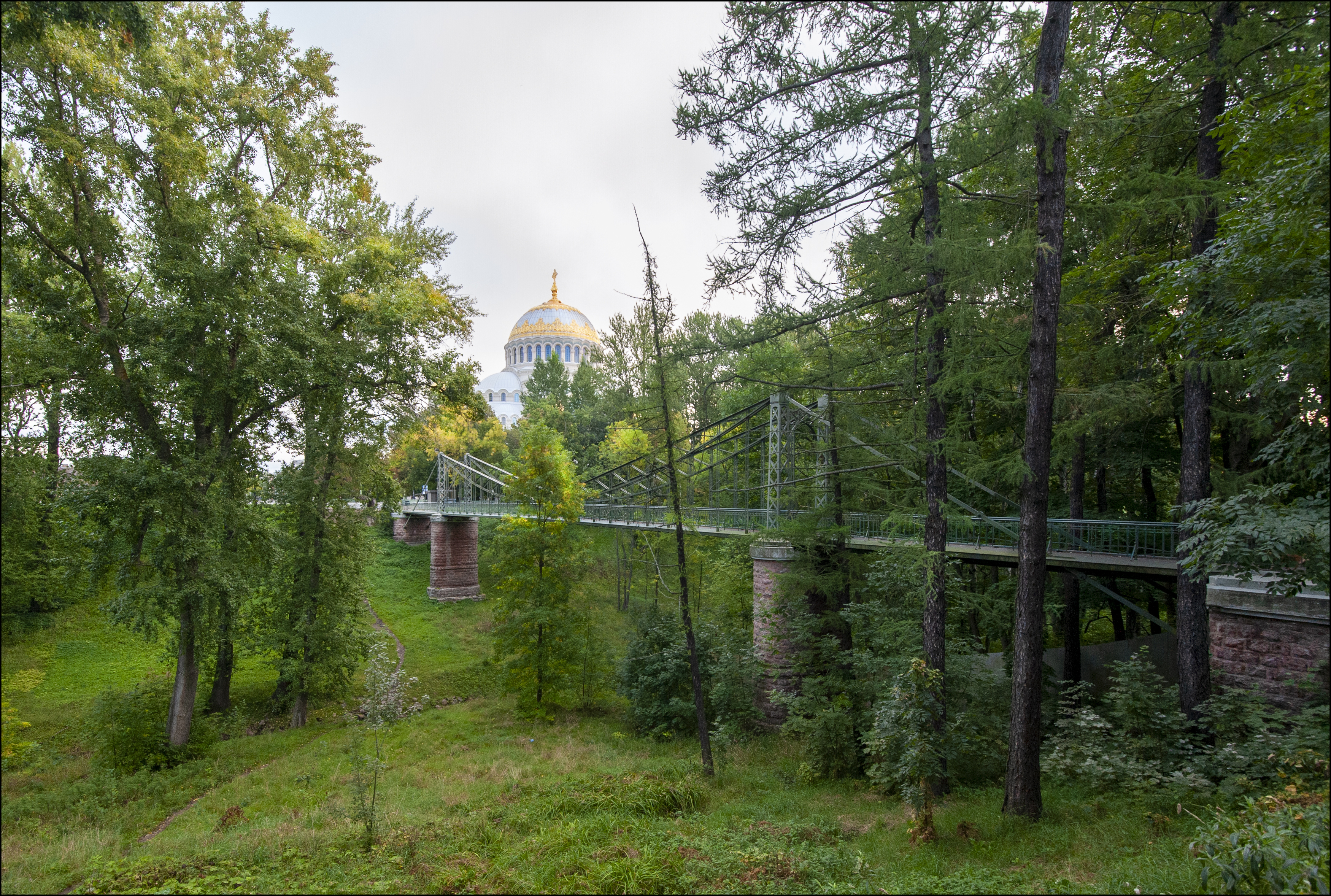 , Георгий Сапожников