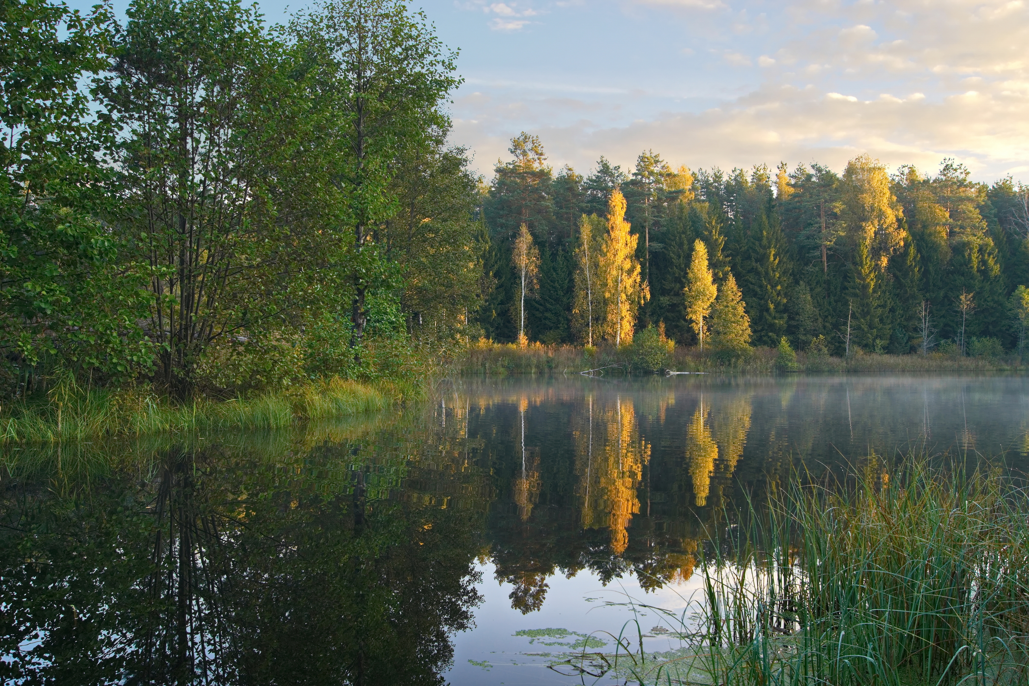 осень,озеро,лес,беларусь,, Виктор Гурков