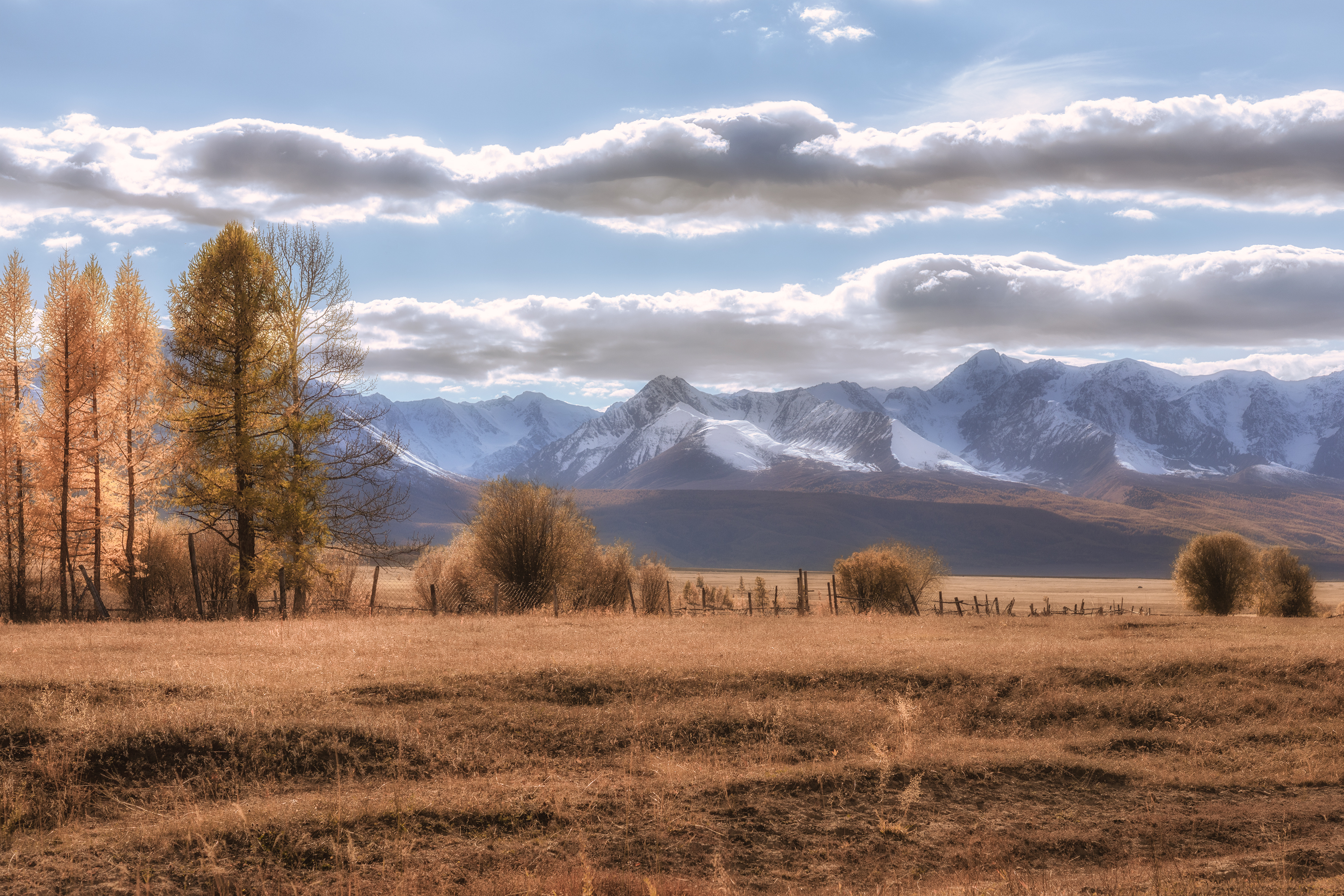 алтай, Гусева Елена