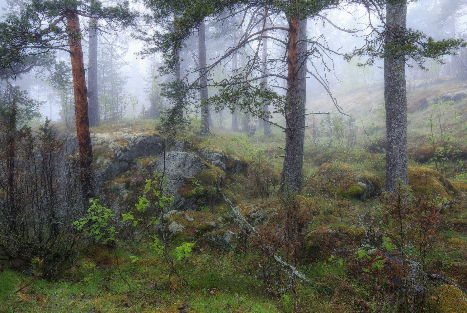 Карелия, Галина Хвостенко