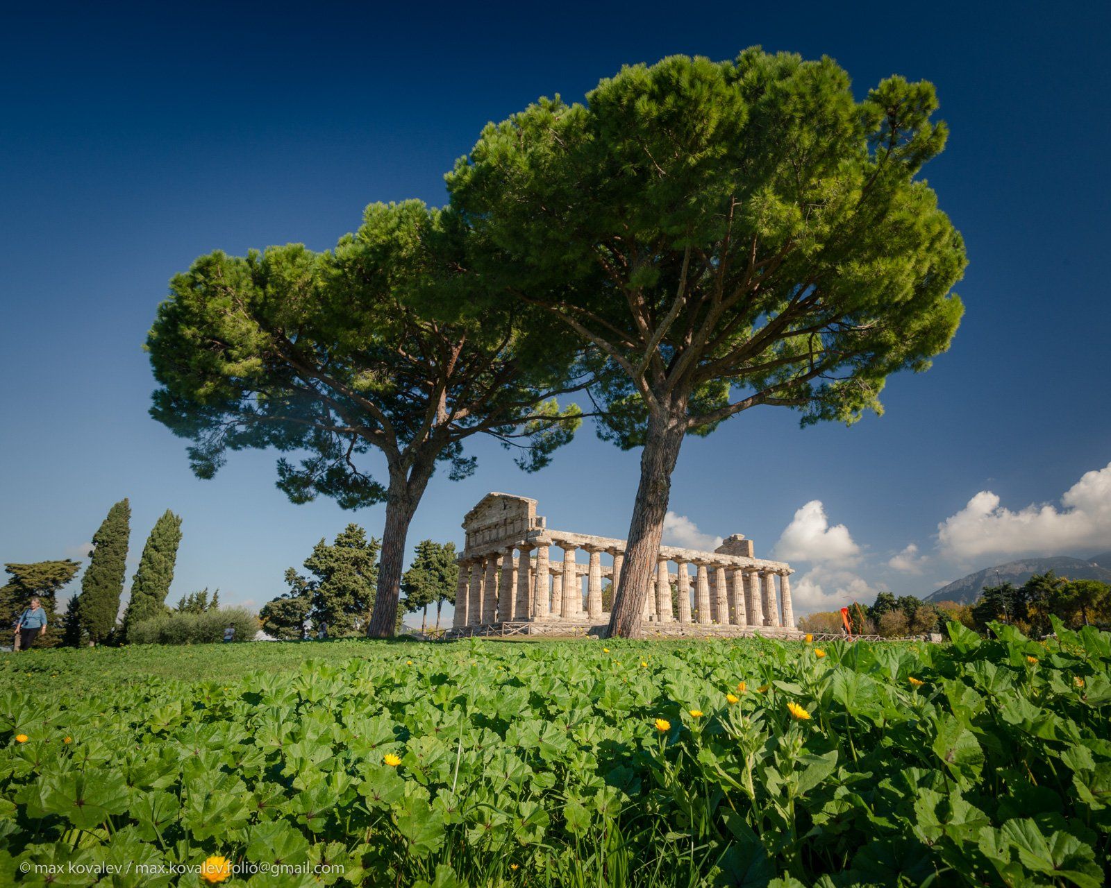 italy, paestum, ancient, autumn, city, column, pine, ruin, stone, tree, италия, пестум, город, дерево, древний, камень, колонна, осень, развалина, руина, сосна, Максим Ковалёв