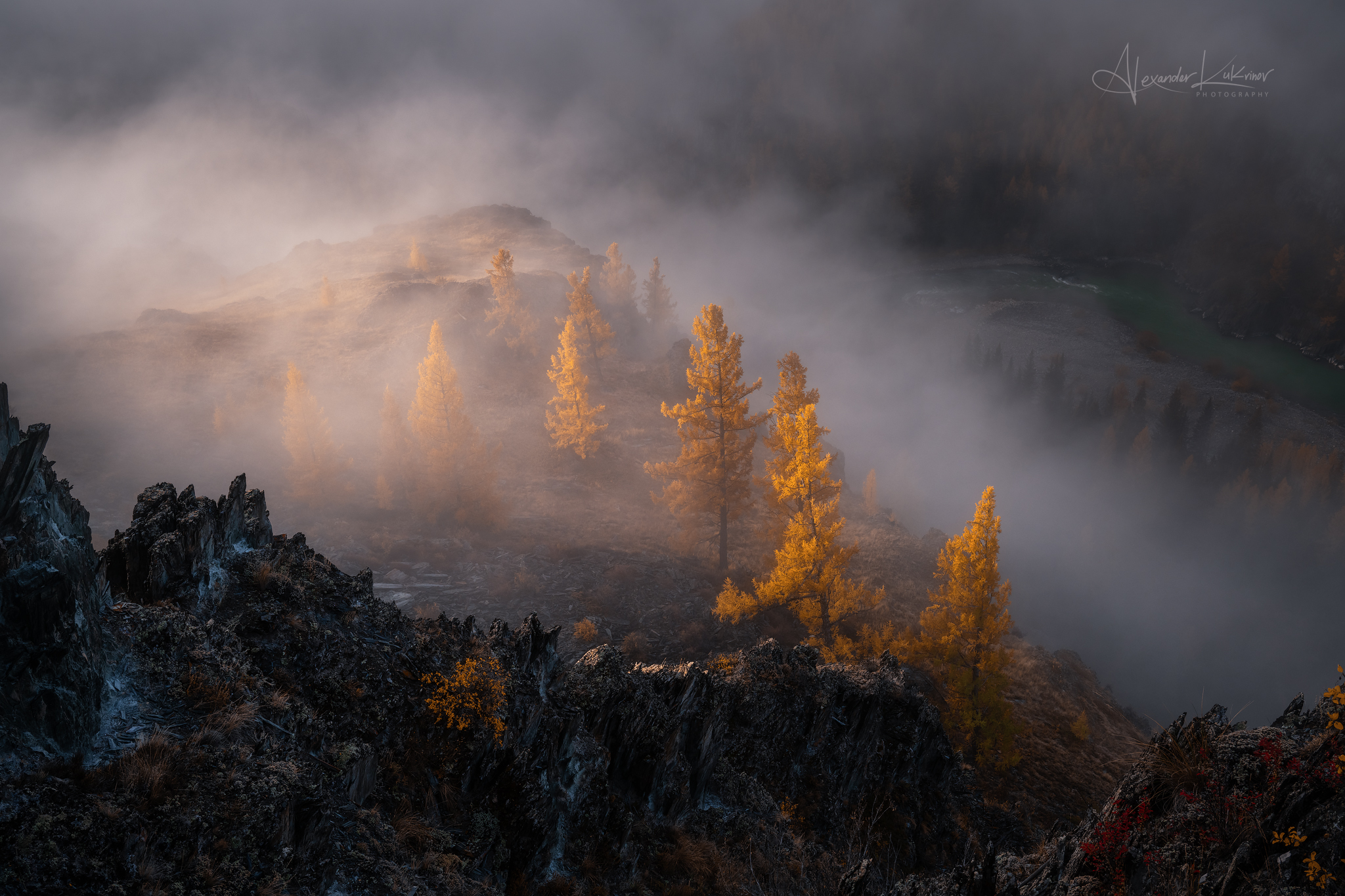 алтай,аргут,осень,рассвет,туман, Александр Кукринов