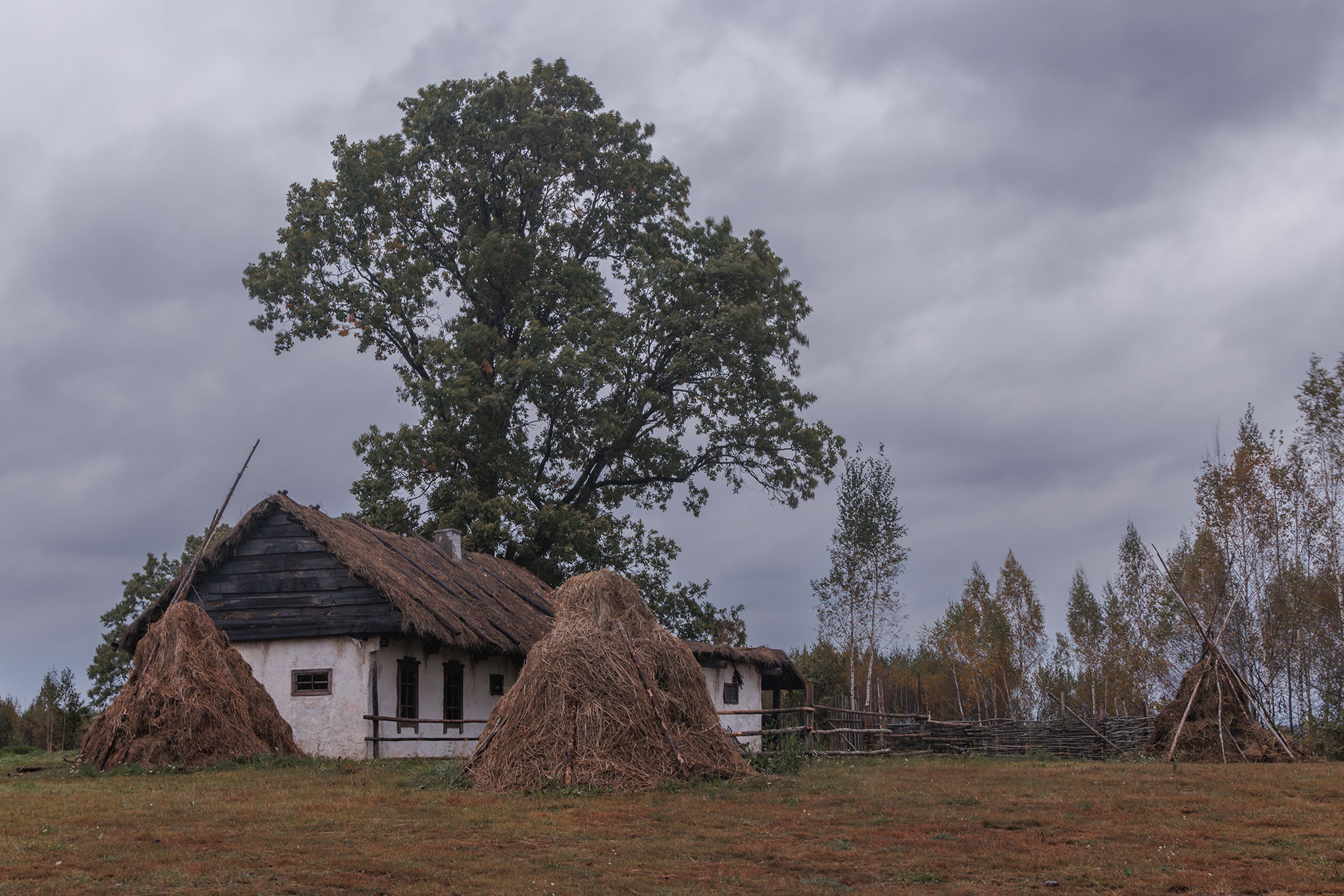 , Морозов Сергей