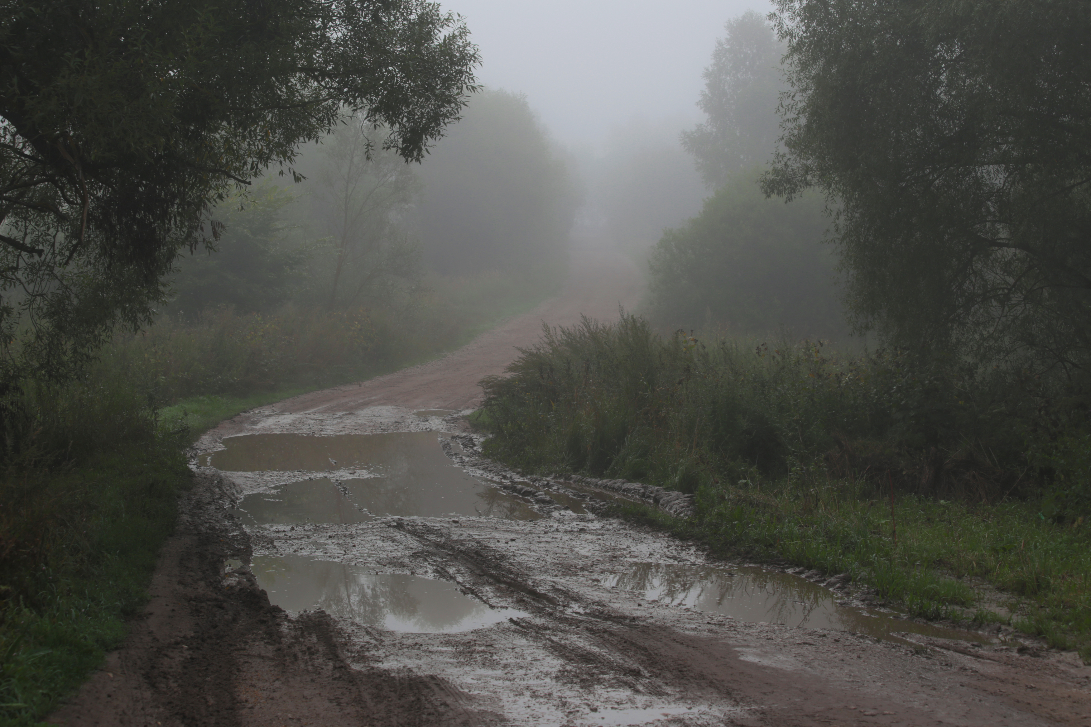 деревня, дороги, Стасов Виталий