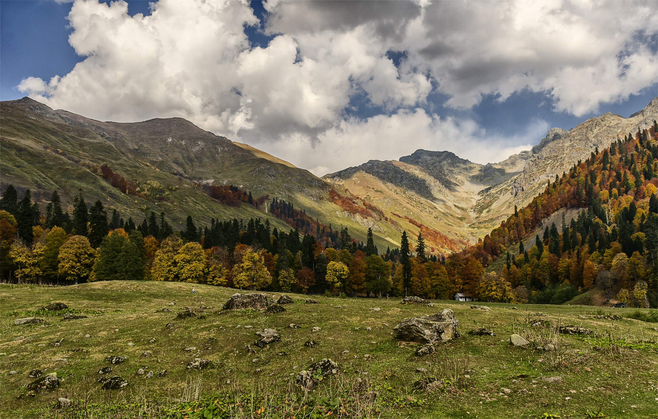 осень луг красота, Александр Березуцкий