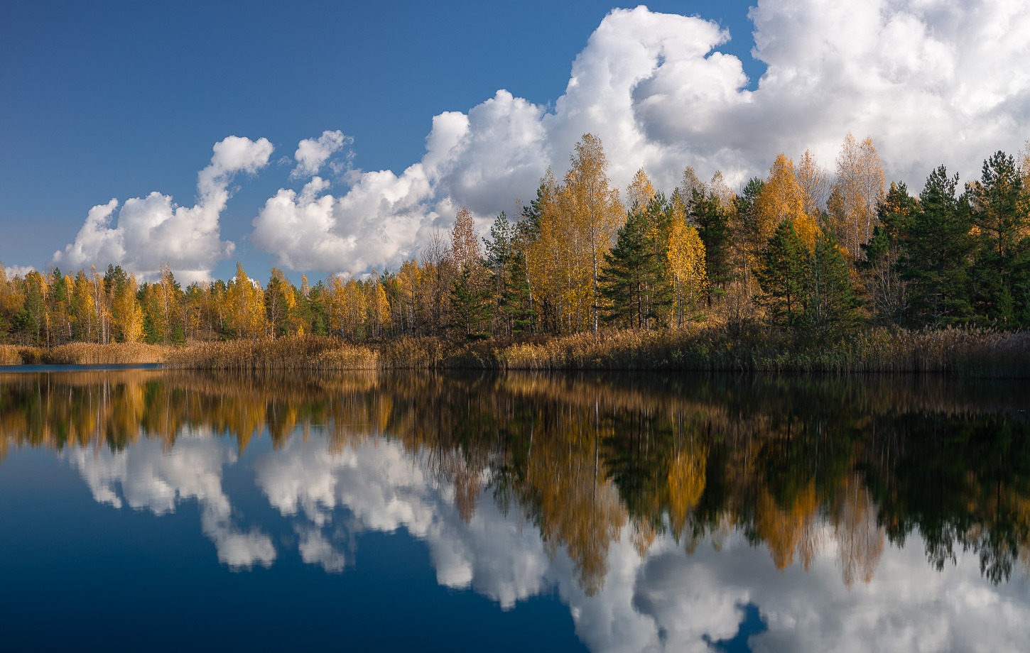 , Роман Игнатьев