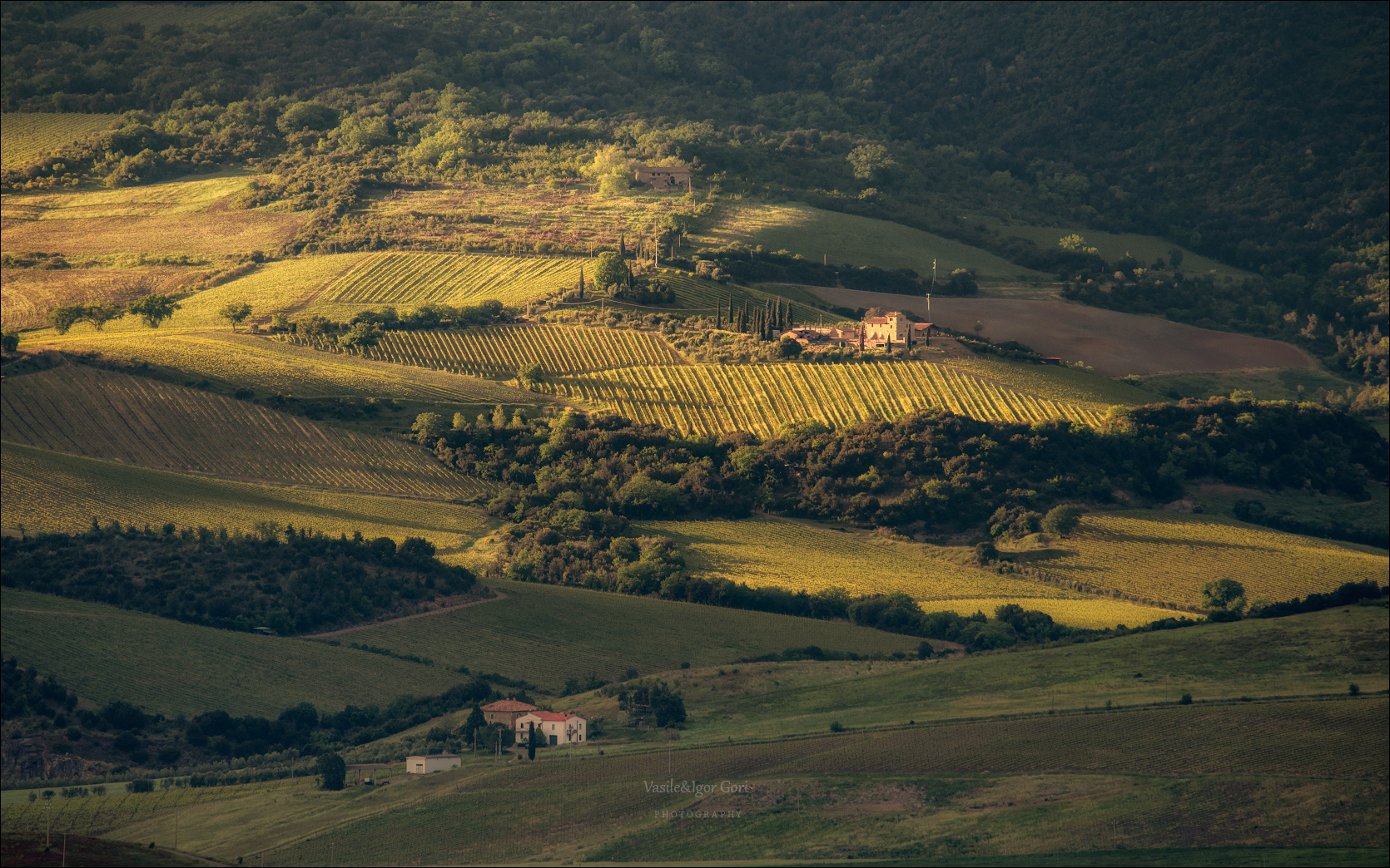 italy, montegiovi,italia,светиталия,тоскана,кипарис,toscana,весна,tuscany,cipressi,belvedere,пьенца,тени, Гори Василий