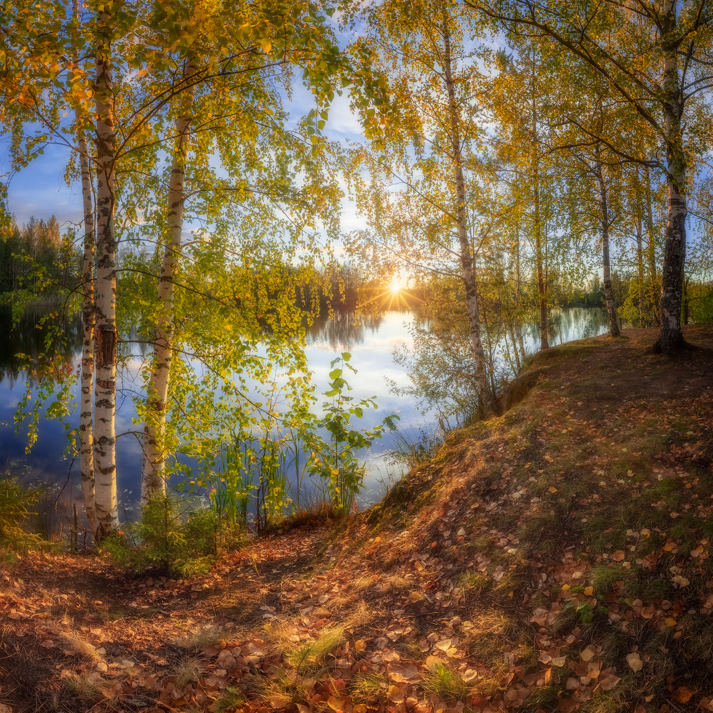 ленобласть, осень, закат, Марголин Алексей