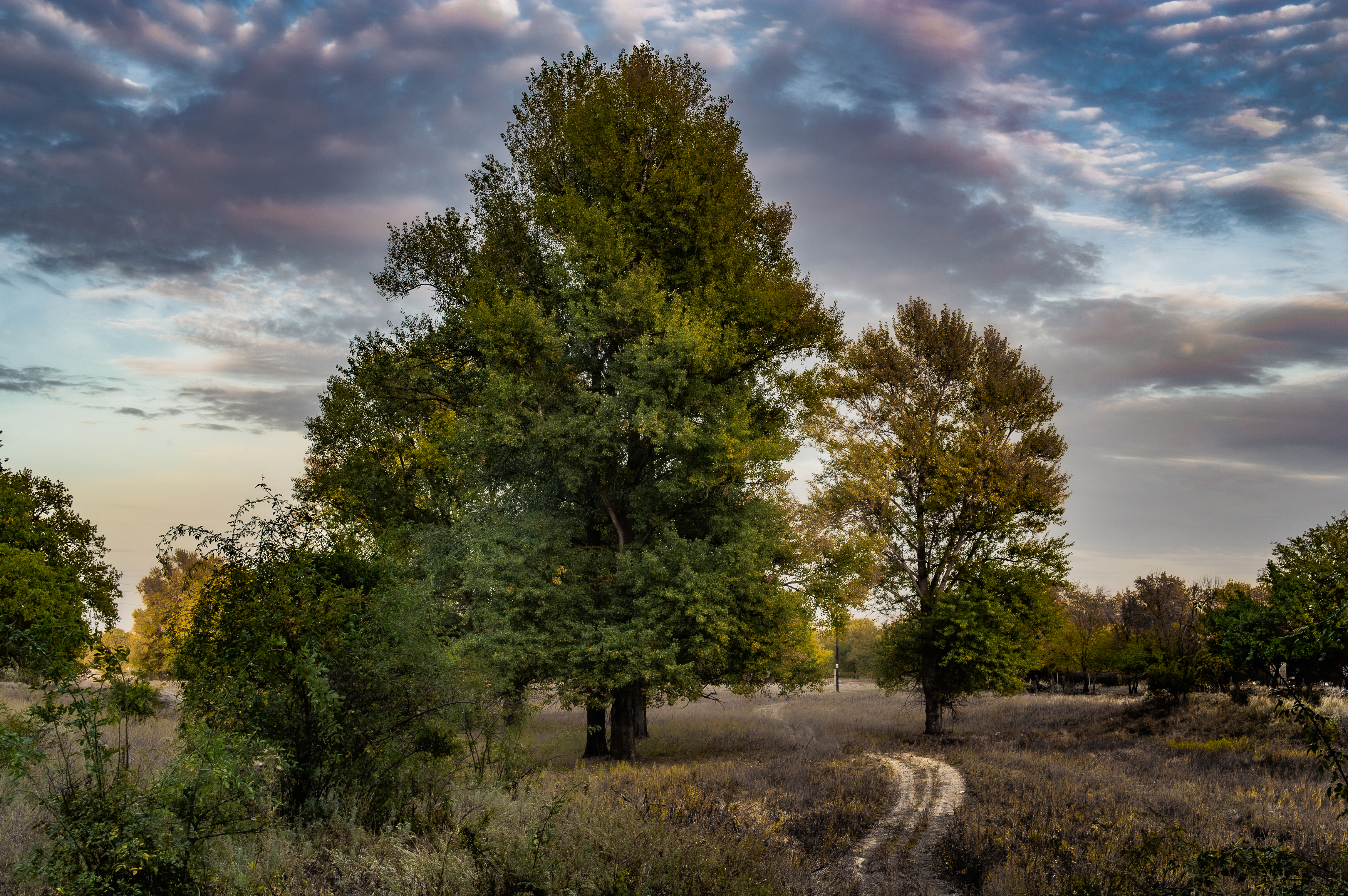 пейзаж,природа,осень,облака, Vasilev Roman