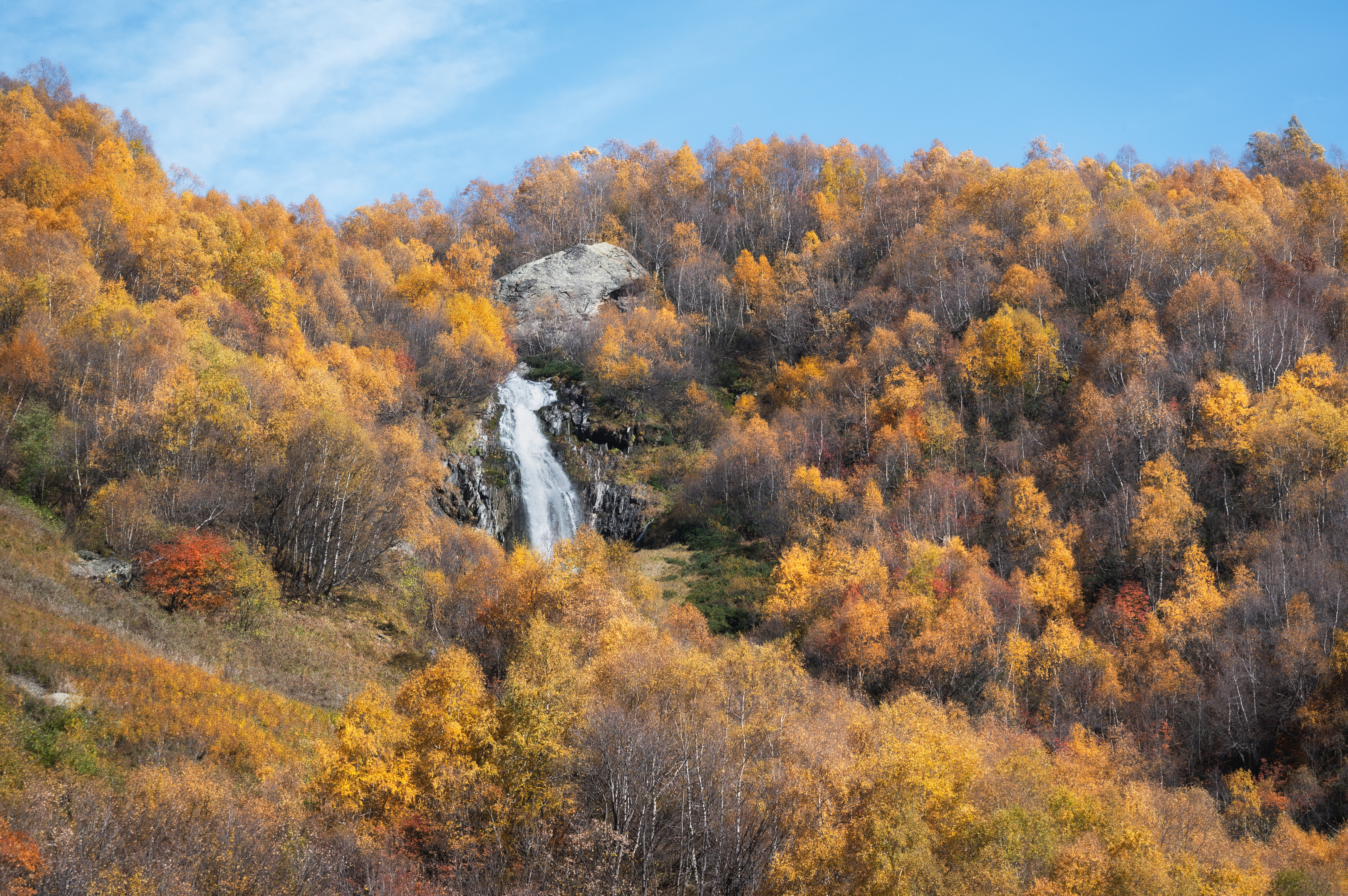 autumn, dombay, mountains, landscape, orange, leaves, pine, caucasus, forest, waterfall,, Бугримов Егор