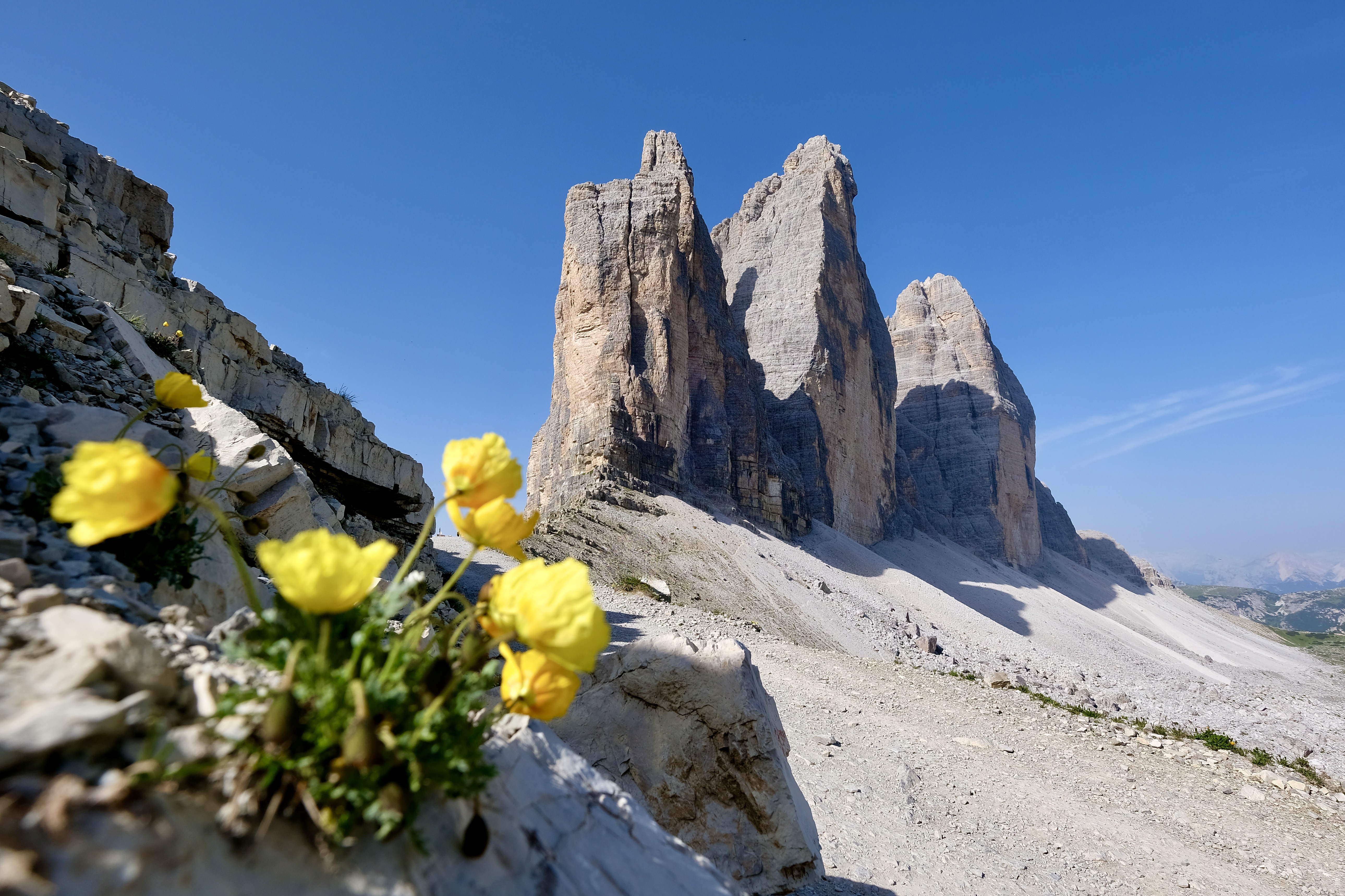 Landscapes, Dolomites, mountain, Tre Cime, summer, flowers, Italy, , Svetlana Povarova Ree