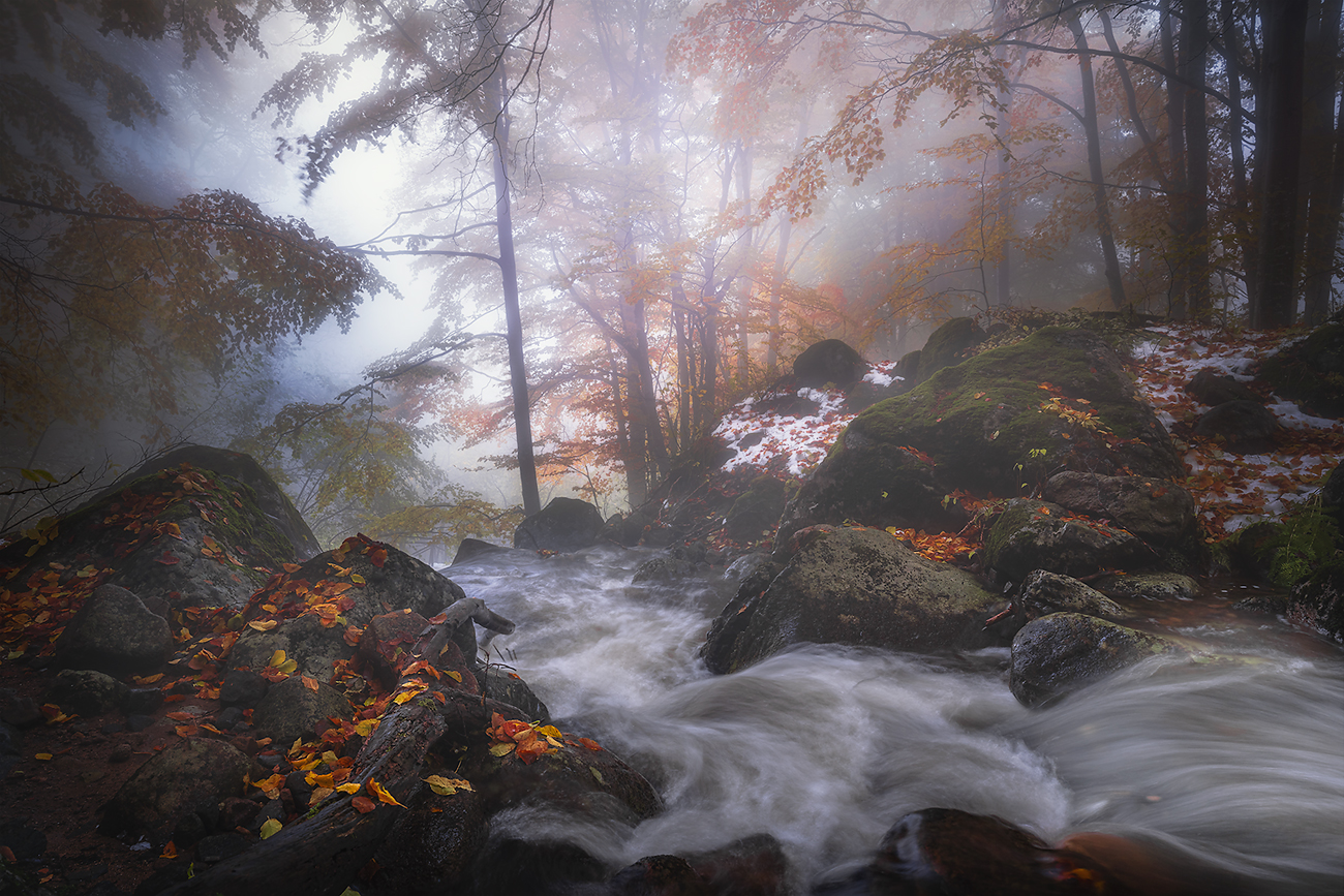 landscape nature scenery forest wood autumn mist misty fog foggy river colors leaves mountain vitosha bulgaria лес, Александър Александров