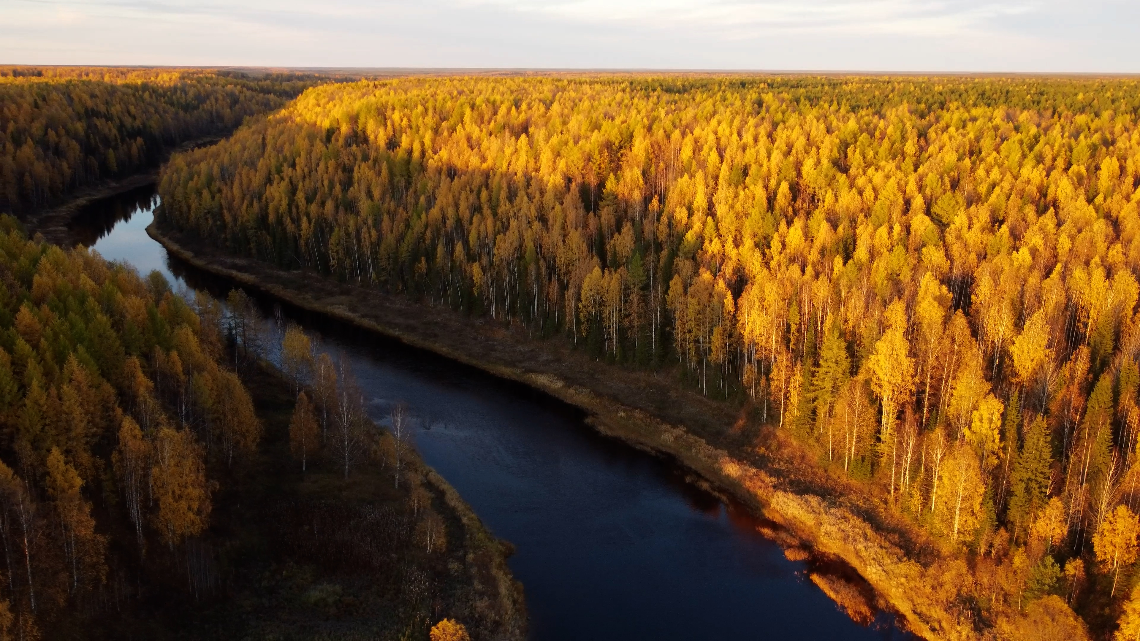 , Лисаускас Илья