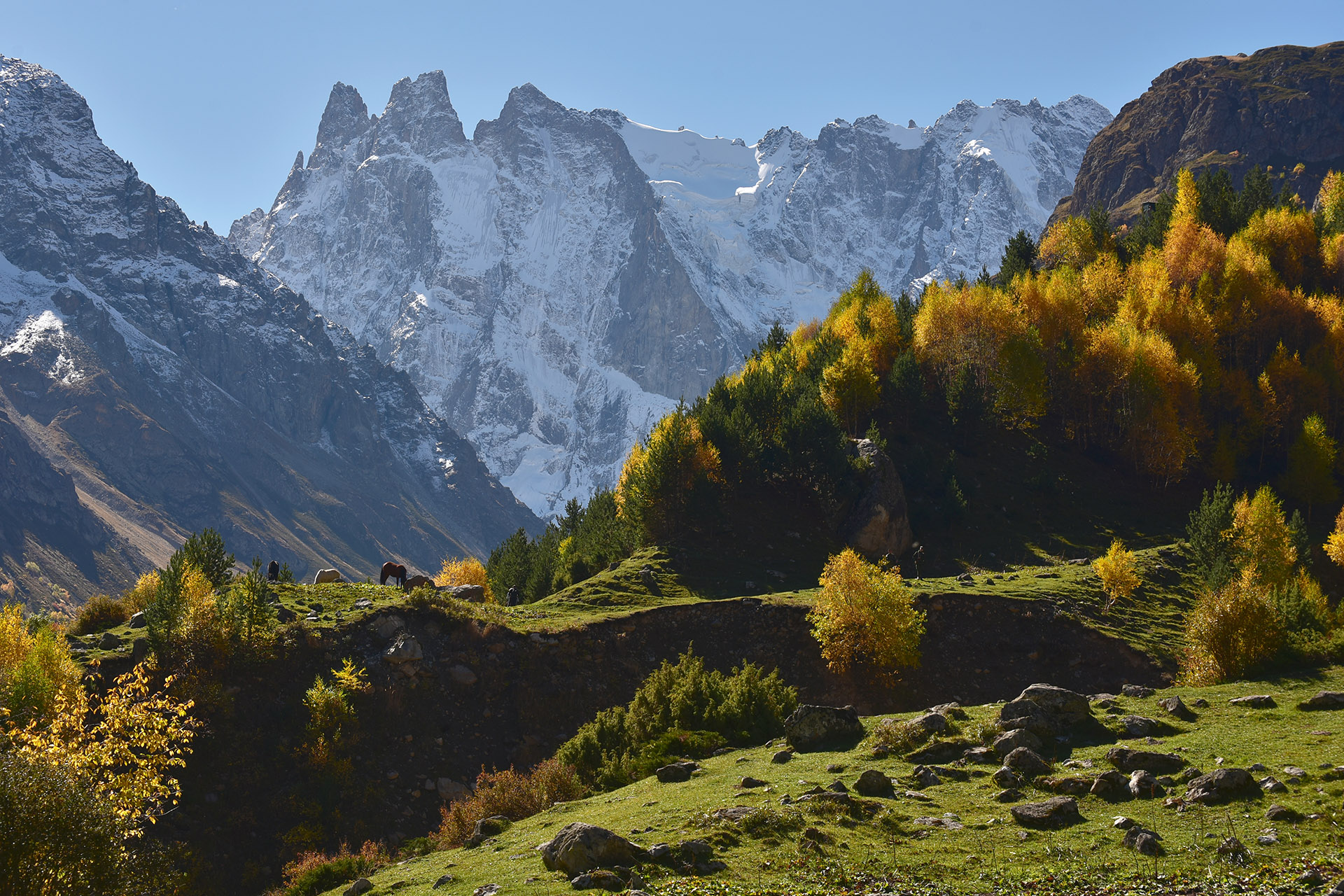 шхельда, кабардино-балкария, Хасан Журтов