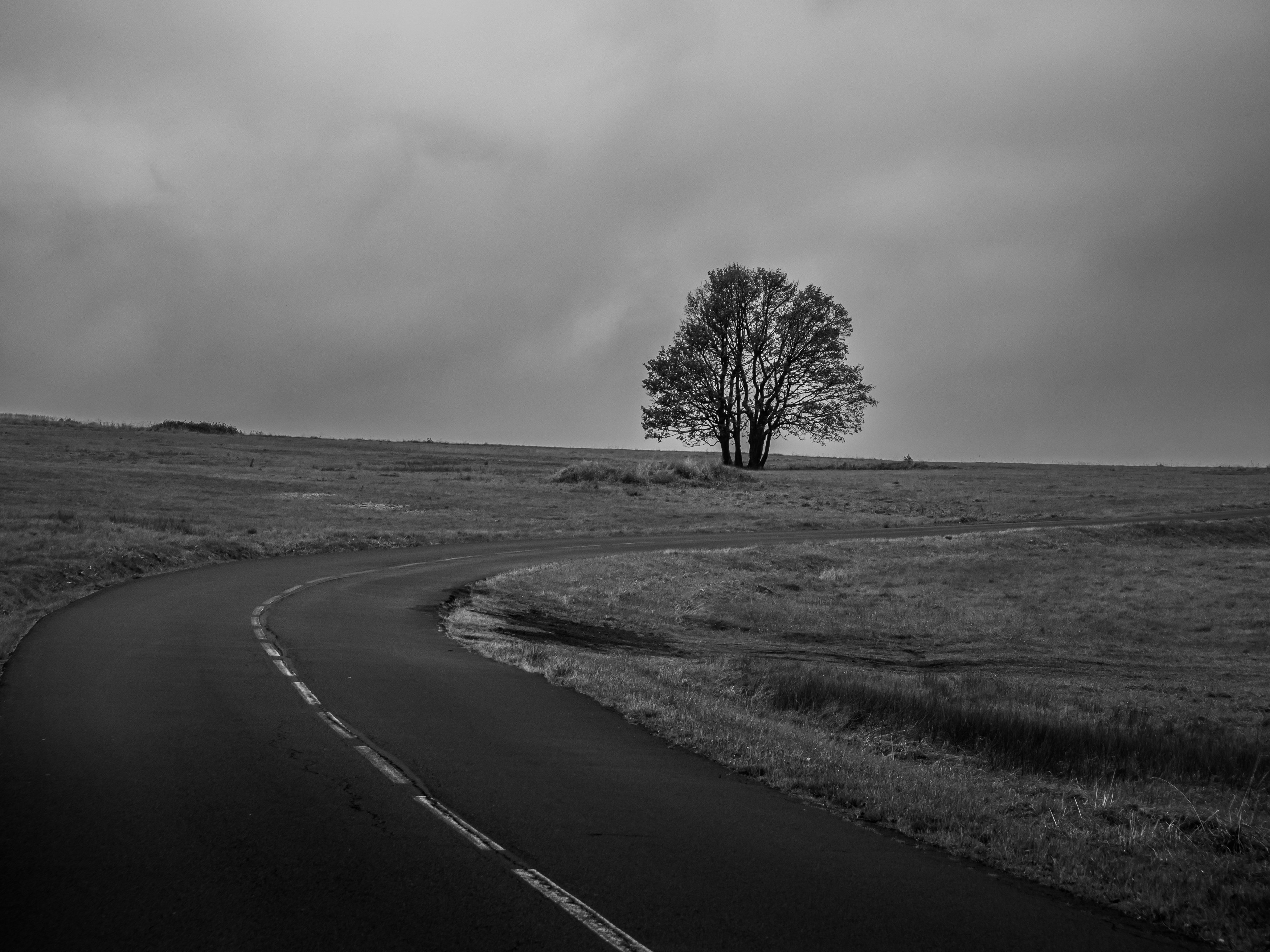 solitare,tranqility,tree,blackandwhite,czechia,minimalist,atmosphere,melancholic, Slavomír Gajdoš