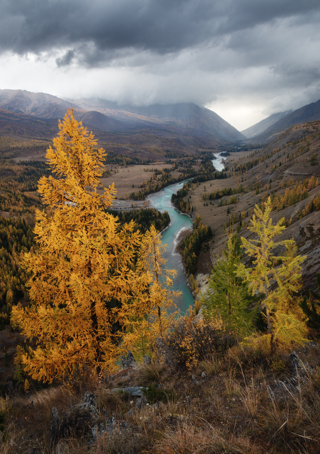 алтай, горный алтай, горы, золотая осень, осенний алтай, реки алтая, непогода, краски осени, Рубан Елена