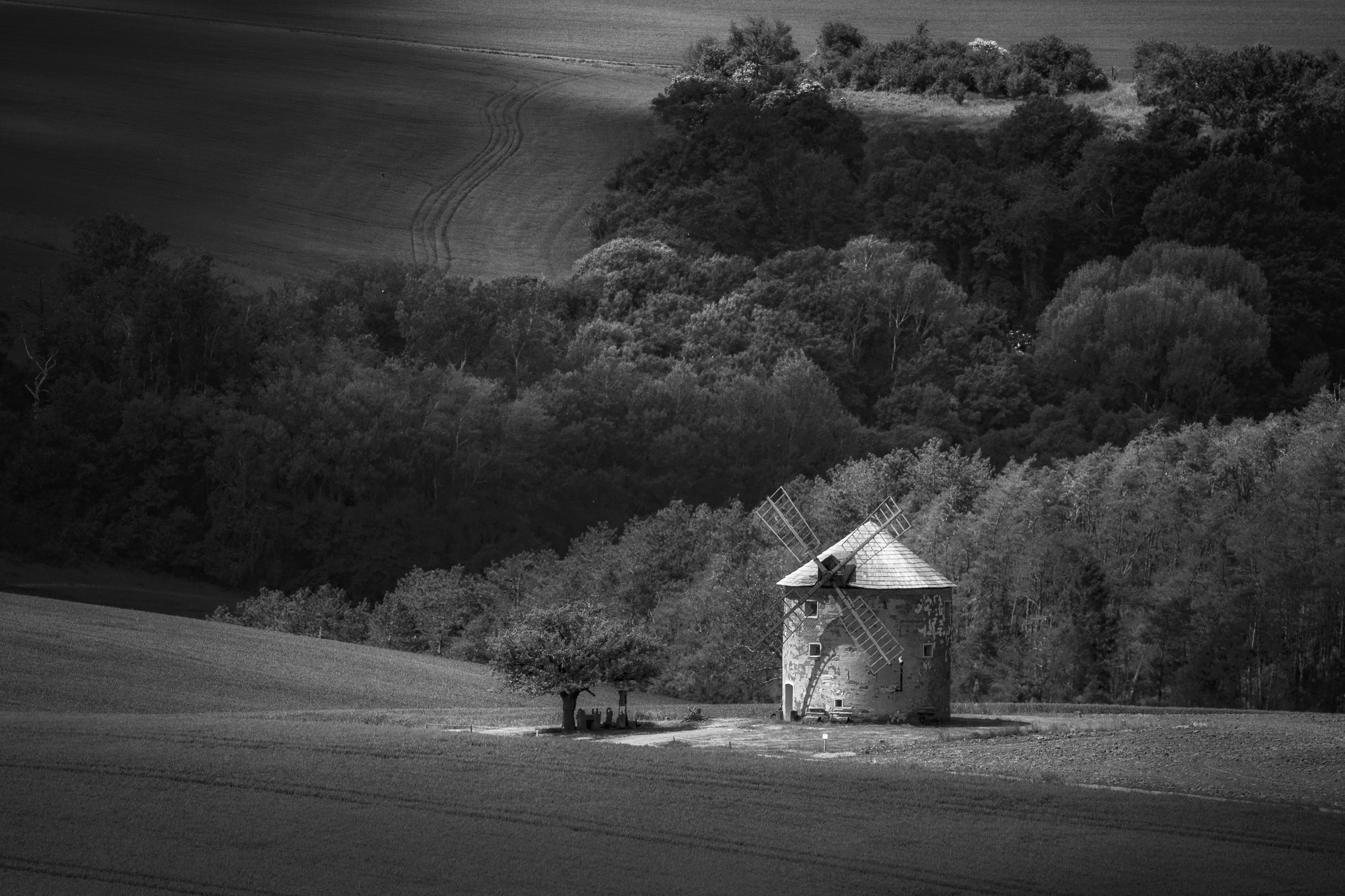 Horizontal, Photography, Day, Nature, Landscape, Nature, Grass, Architecture, Windmill, Idyllic, Kunkovice, Black&White, Monochrome, Landscape, Moravia, Damian Cyfka