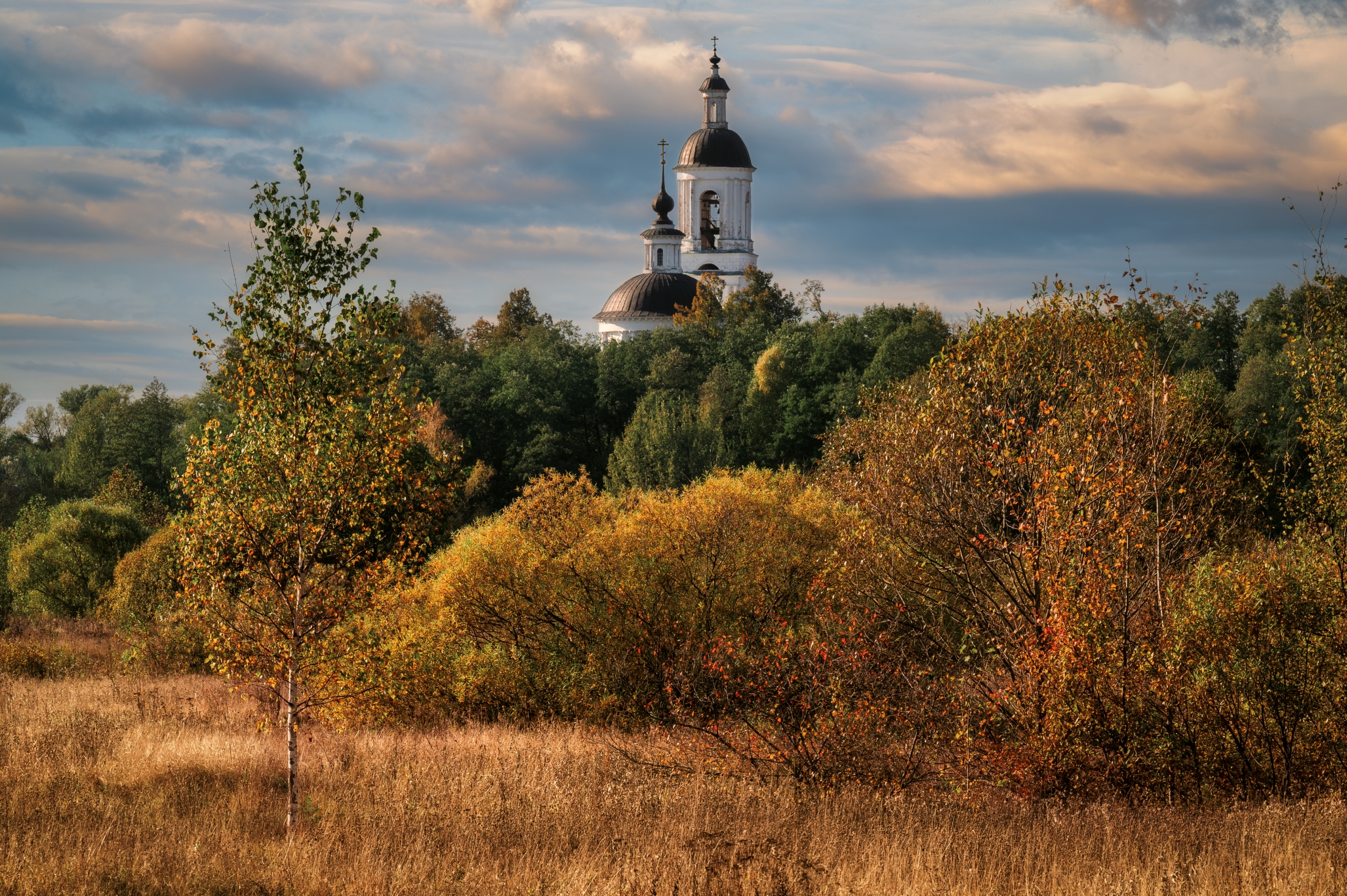 осень, филипповское, храм, владимирская область, Томислав Ракичевич