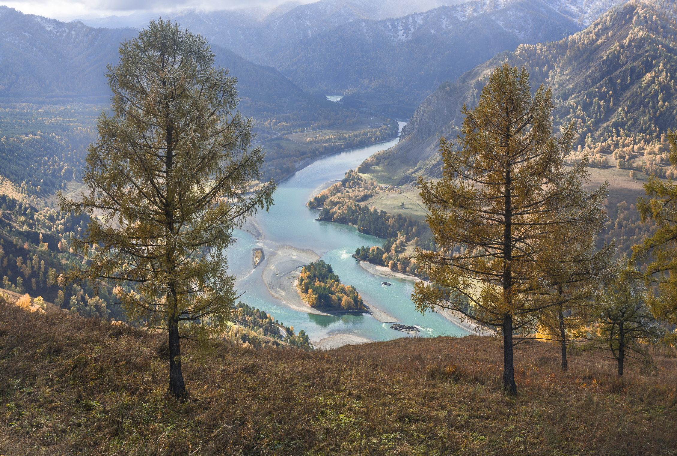 россия, горный алтай, река катунь, осень, утро, Андрей Поляков