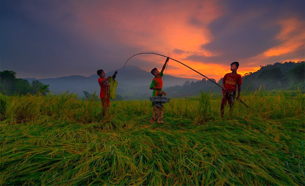 Human Interest, Landscape, Natural light, People, Sunrise, Beni Arisandi