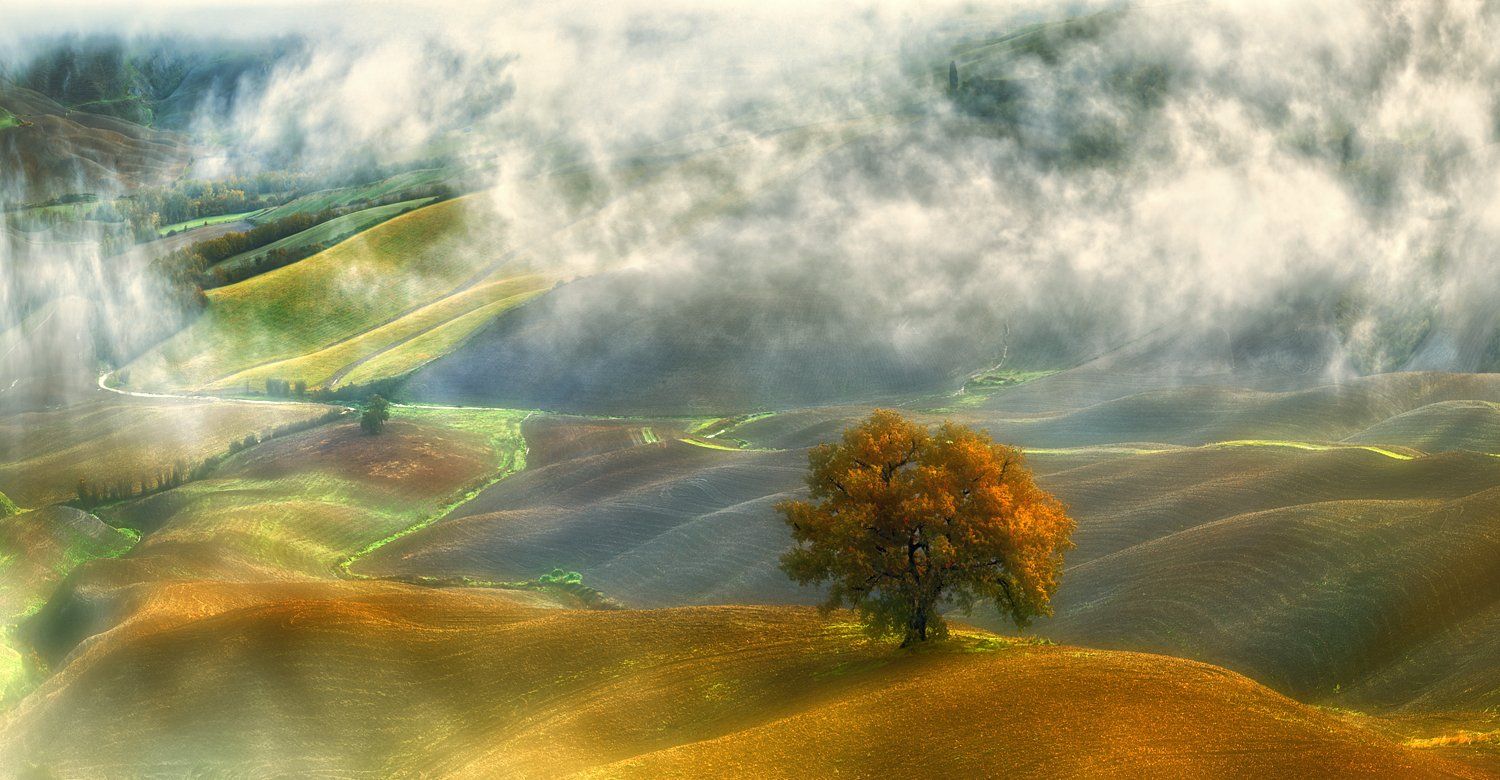 browko,italy,tuscany,autumn,fields,mist,, Krzysztof Browko