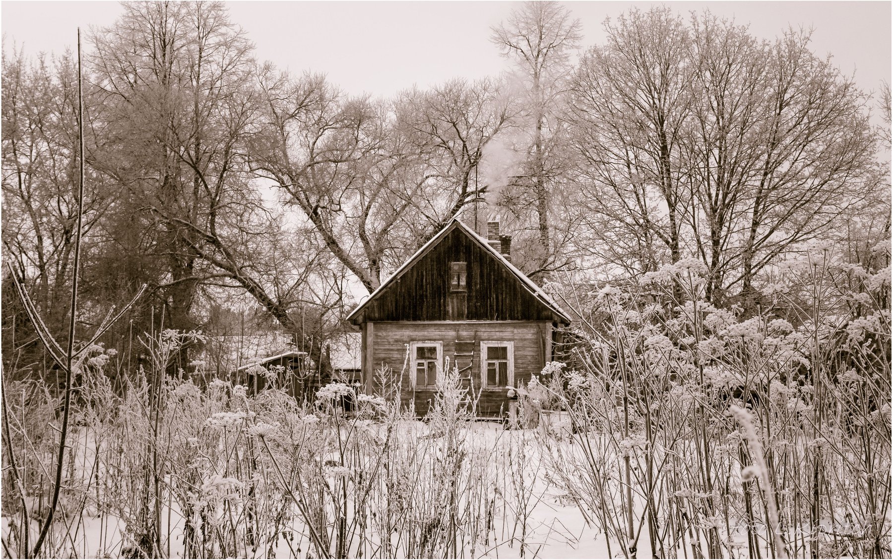 деревенский пейзаж, домик, зима, иней, снежно, Лидия Киприч