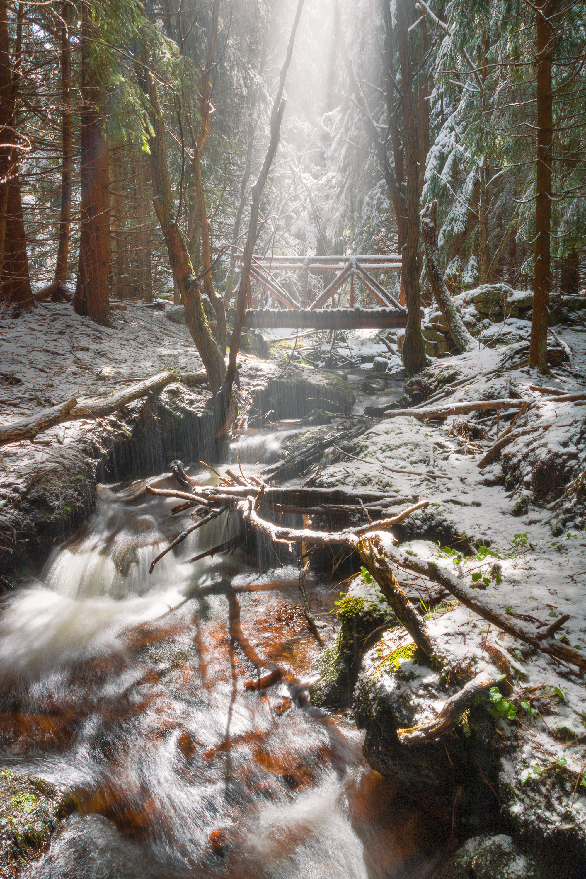 landscape, winter, mountain, forest, snow, sunshine, ray of light, Vania Tonova