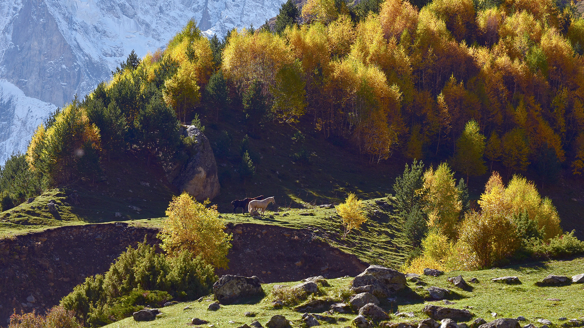 шхельда, кабардино-балкария, Хасан Журтов