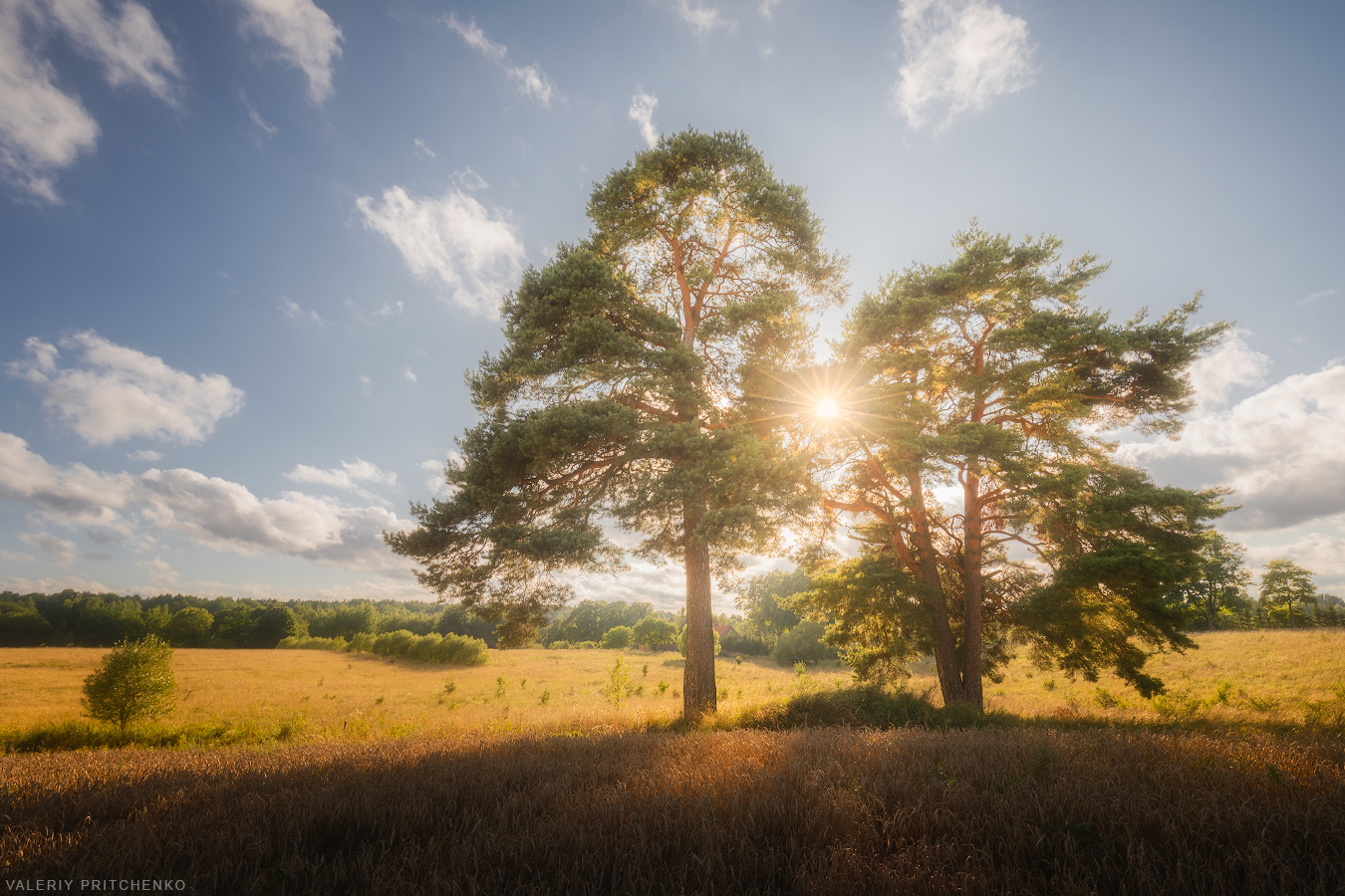 пейзаж, природа, лето, nature, landscape, summer, Валерий Притченко