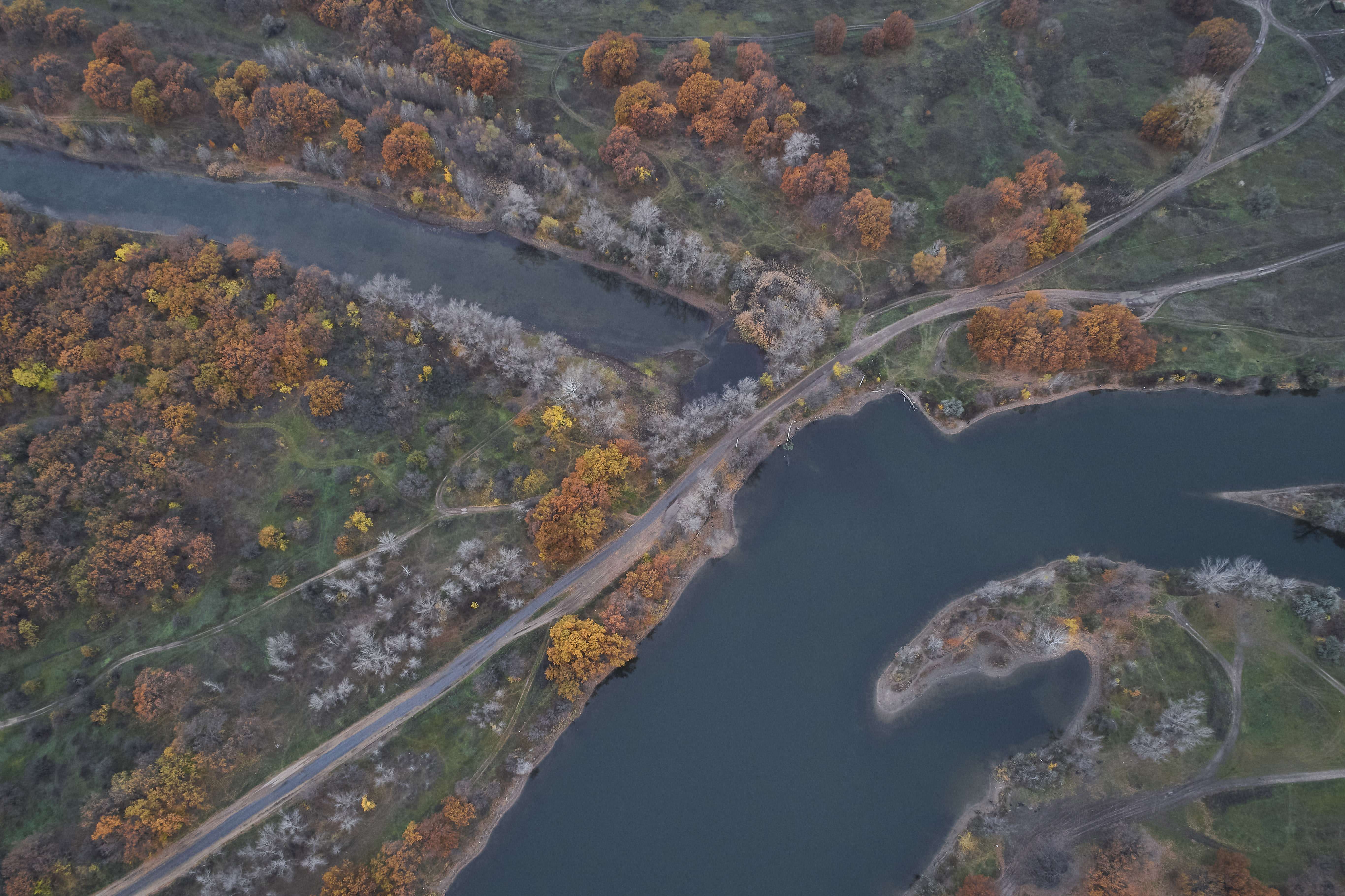 autumn, volgograd, russia, wildlife, , Павел Сторчилов