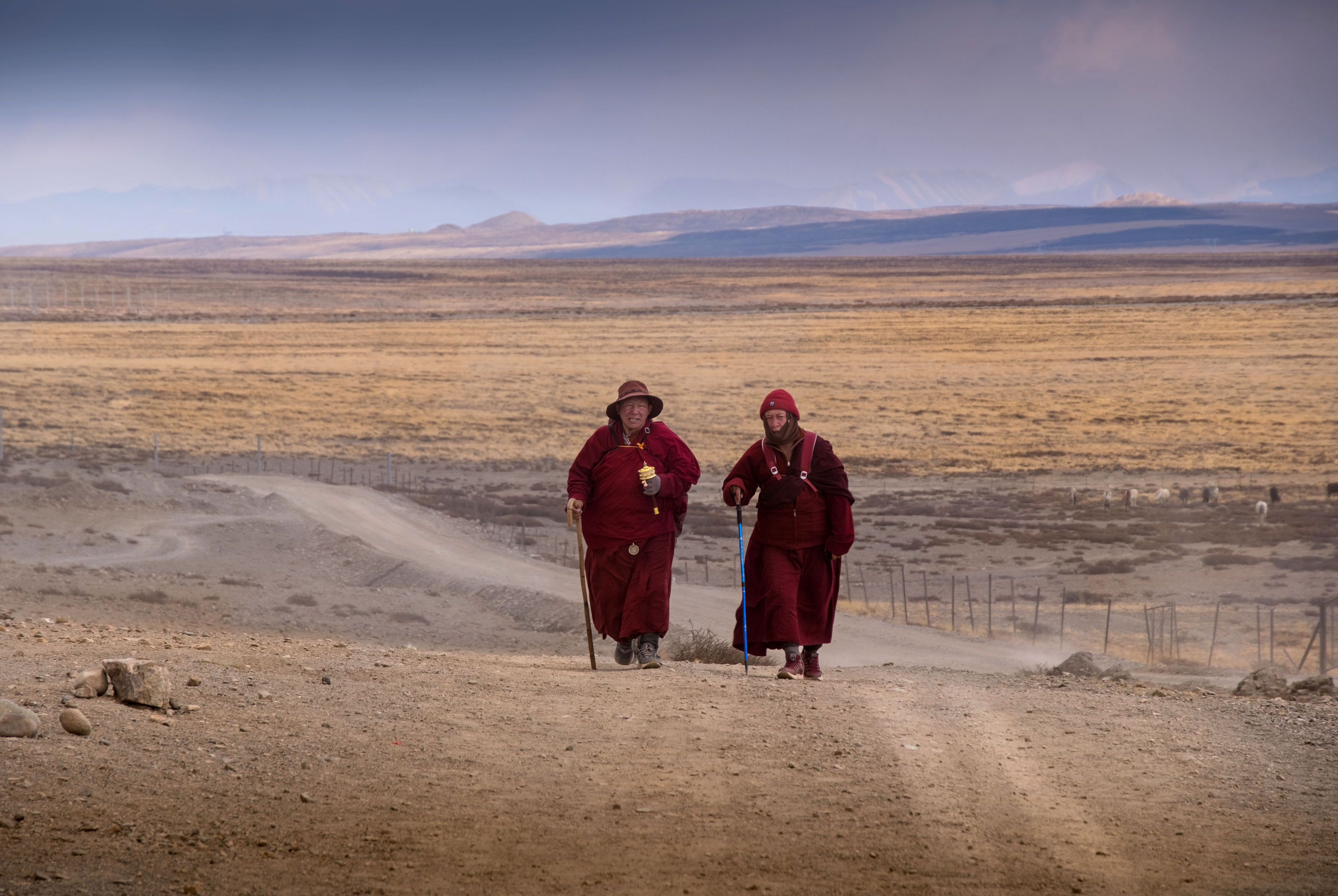 тибет, кора, кайлас, tibet, kailash, нд, тибет 2024, Демкина Надежда