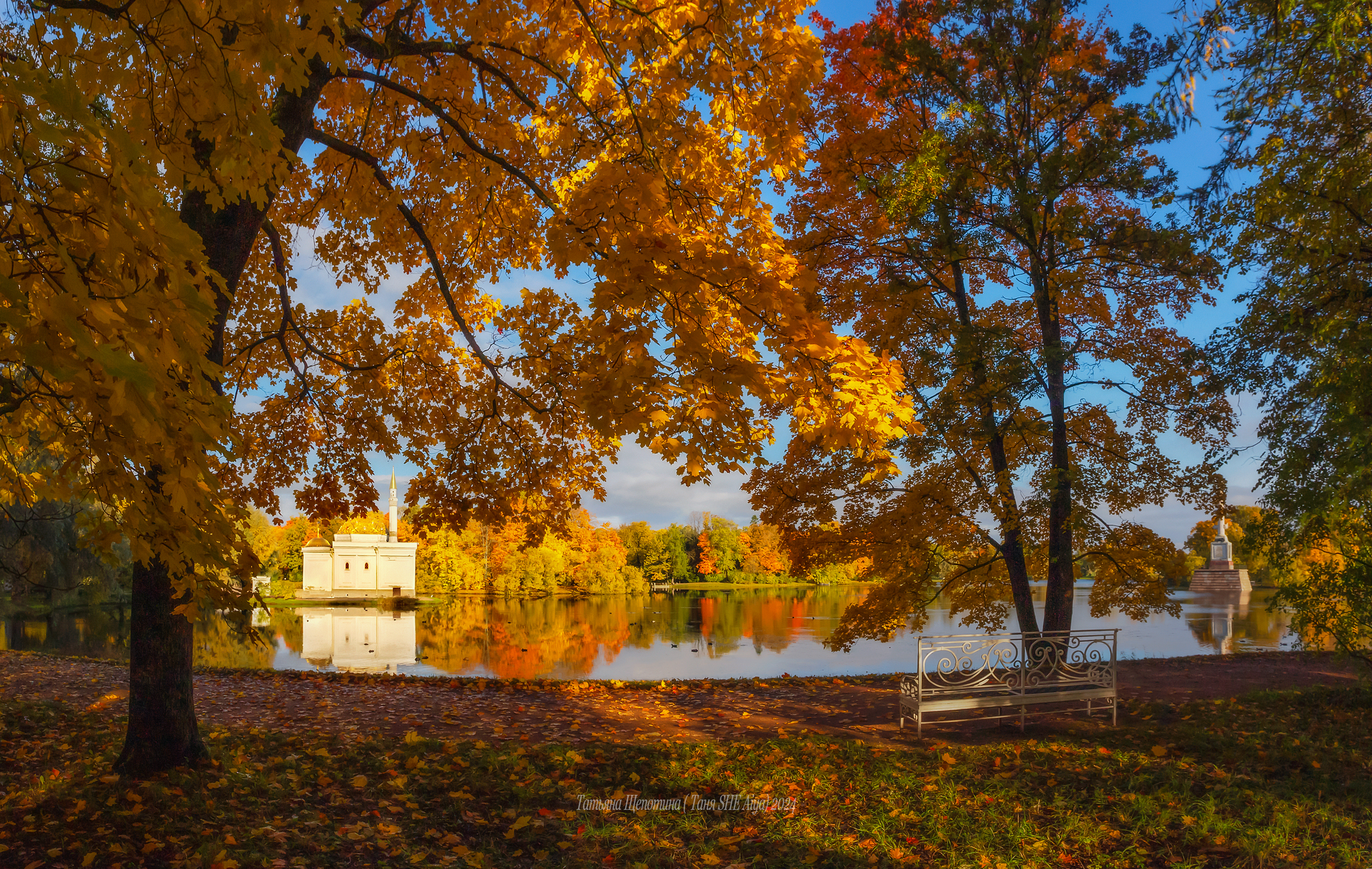 питер, пушкин, царское село, царское,  landscape, tsarskoye selo, autumn,  городской пейзаж, санкт-петербург, рассвет, Щепотина Татьяна