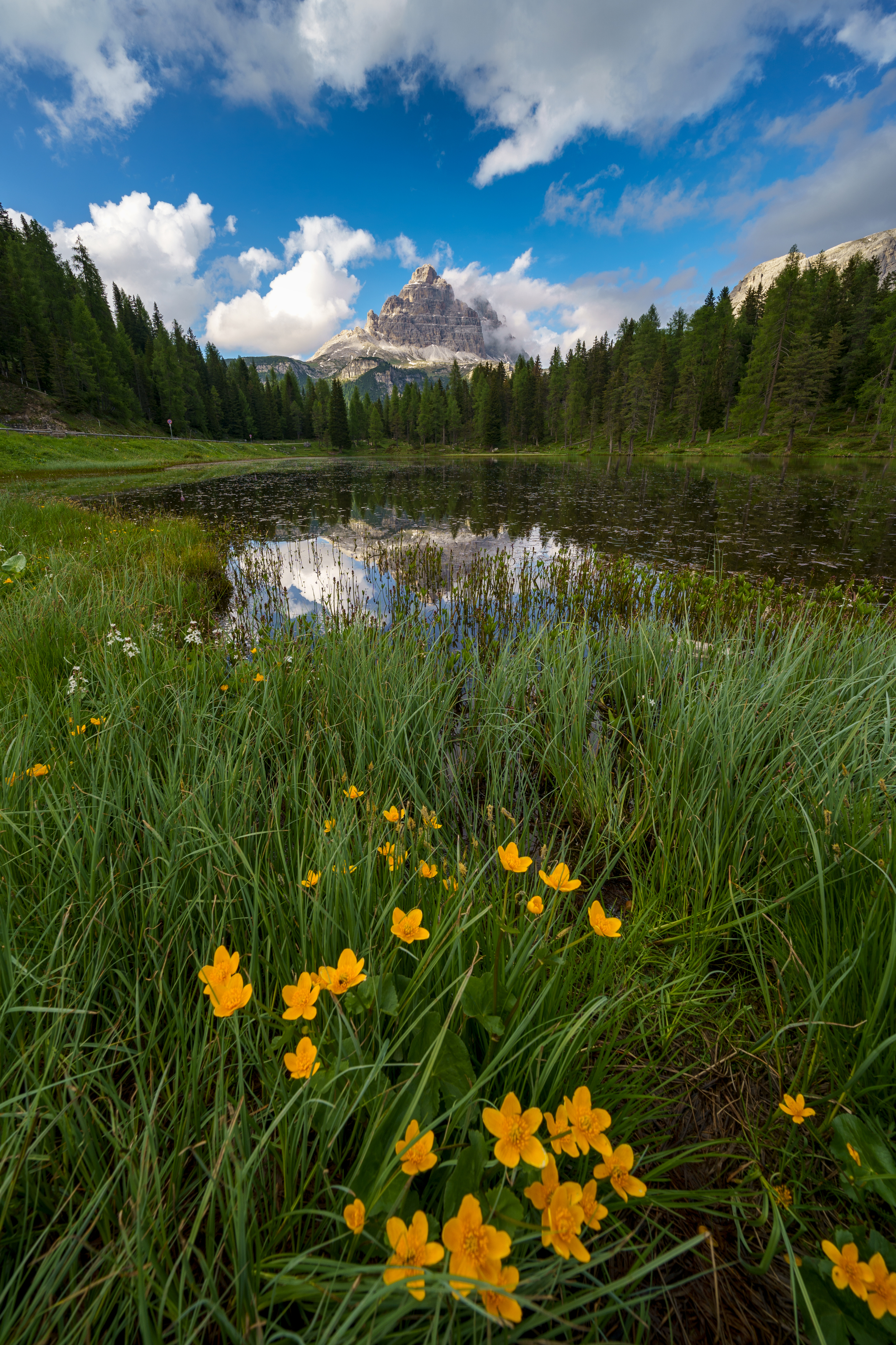 italy, dolomiti, mountains, landscape, lake, mirror, nature, flowers, cloud , Igor Sokolovsky