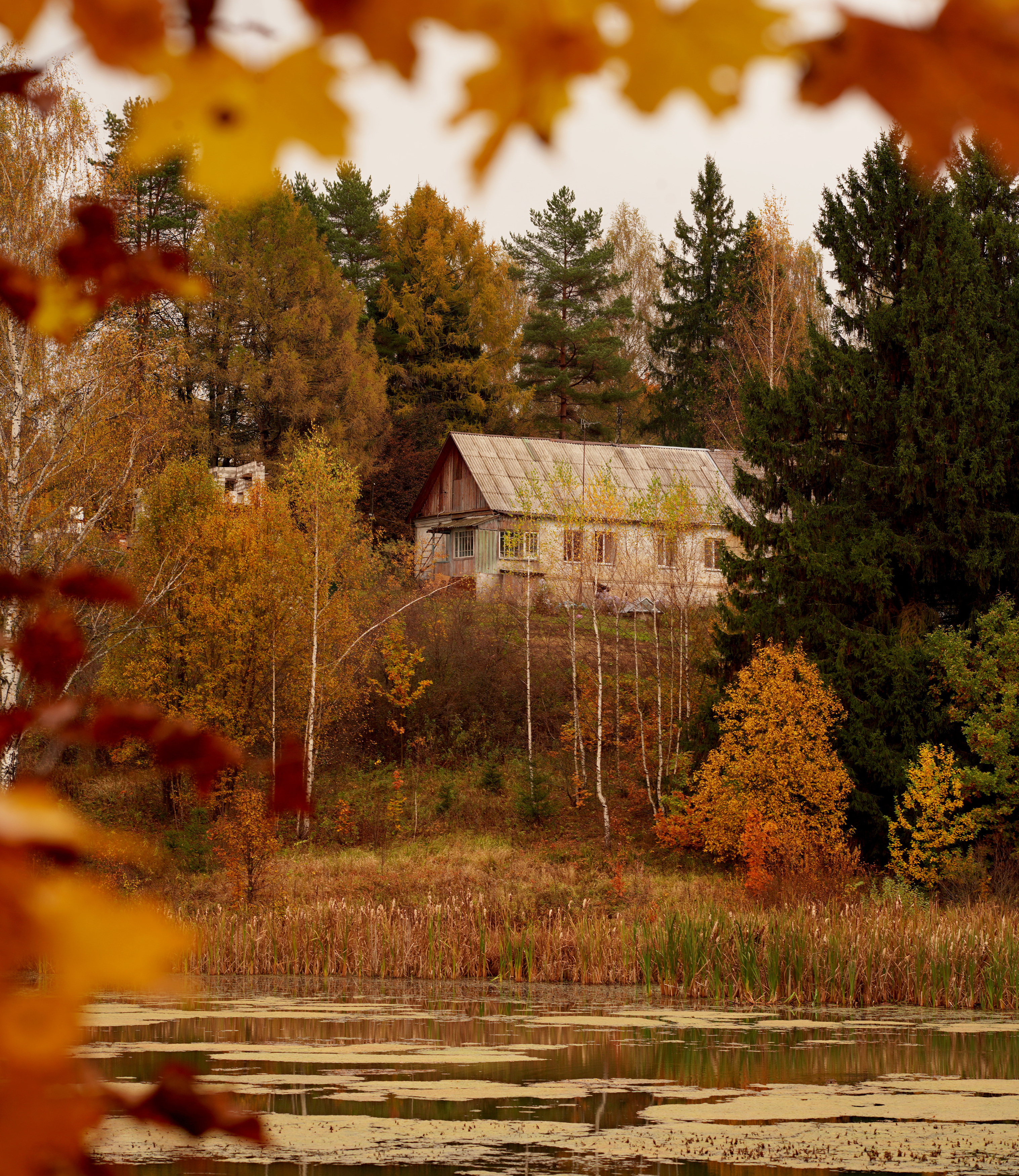 #landscape #autumn #пейзаж #осень, Мощенко Сергей