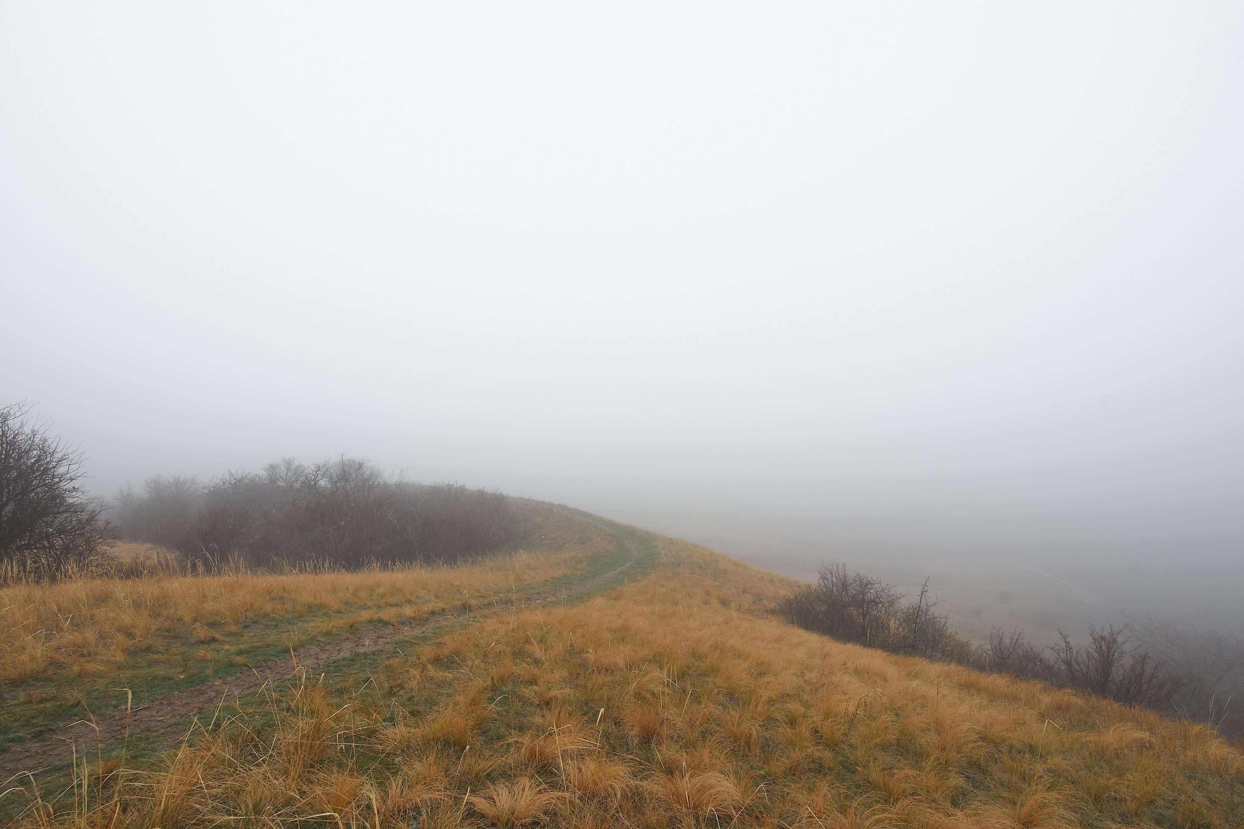 volgograd, russia, landscapes, , Павел Сторчилов